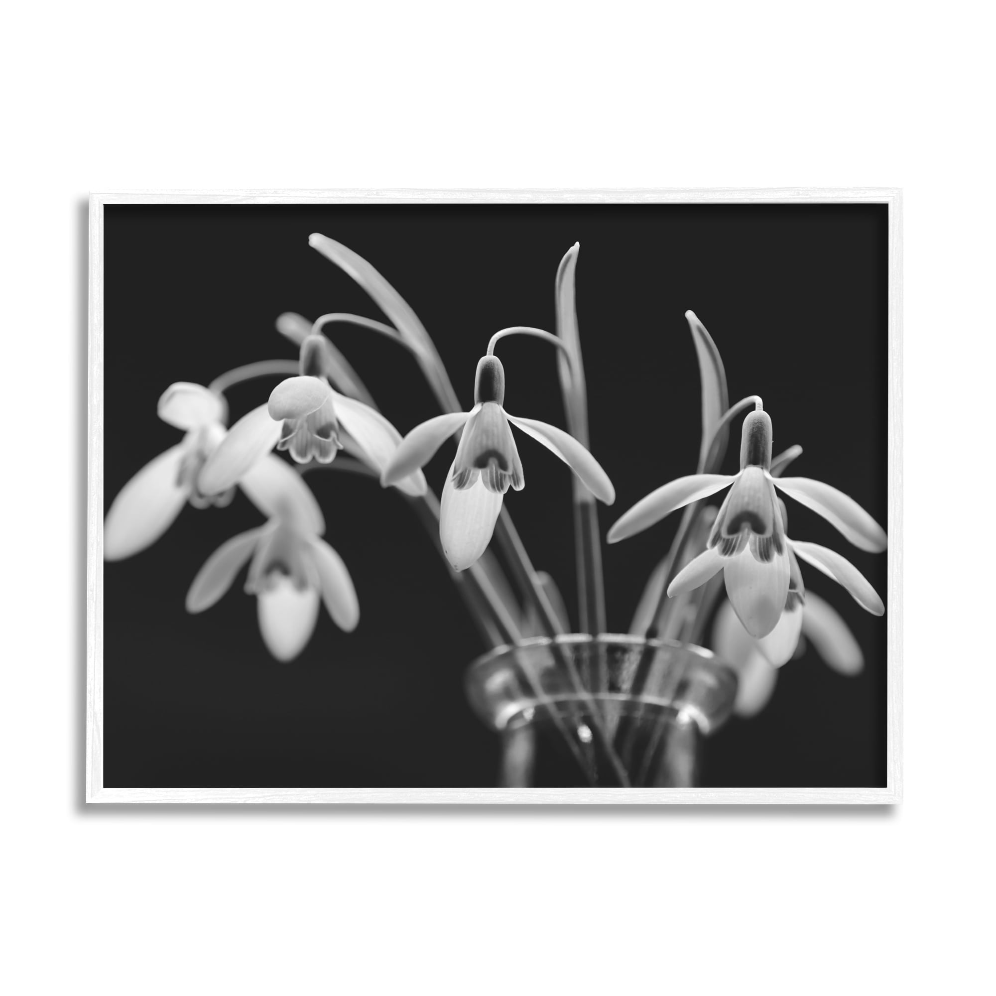Stupell Industries Snow Drops Flower Photography Botanical & Floral Photography White Framed Art Print Wall Art