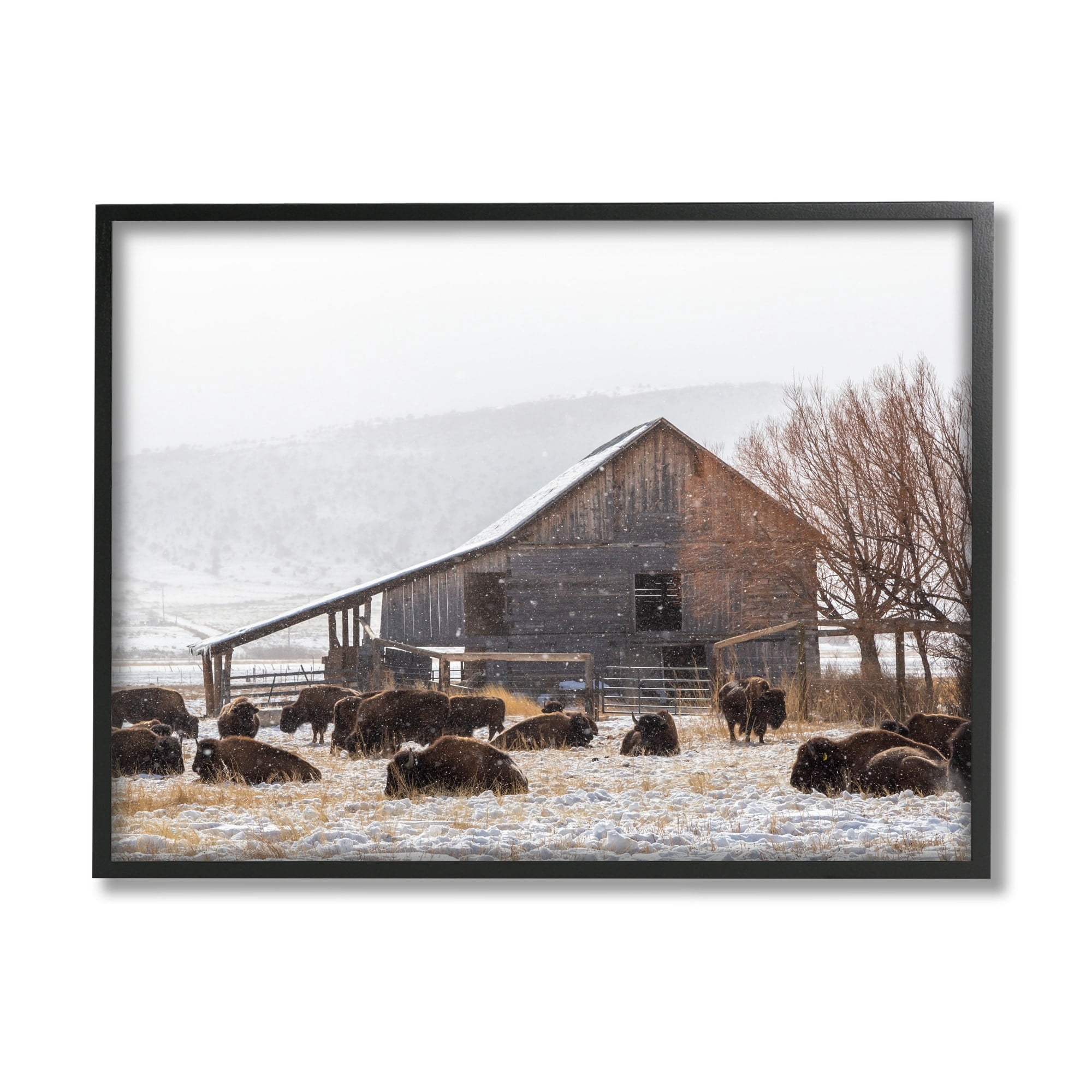 Stupell Industries Snow Dusted Barn Buffalo Bison Rural Farm Photograph Black Framed Art Print Wall Art, Design by Jeff Poe Photography