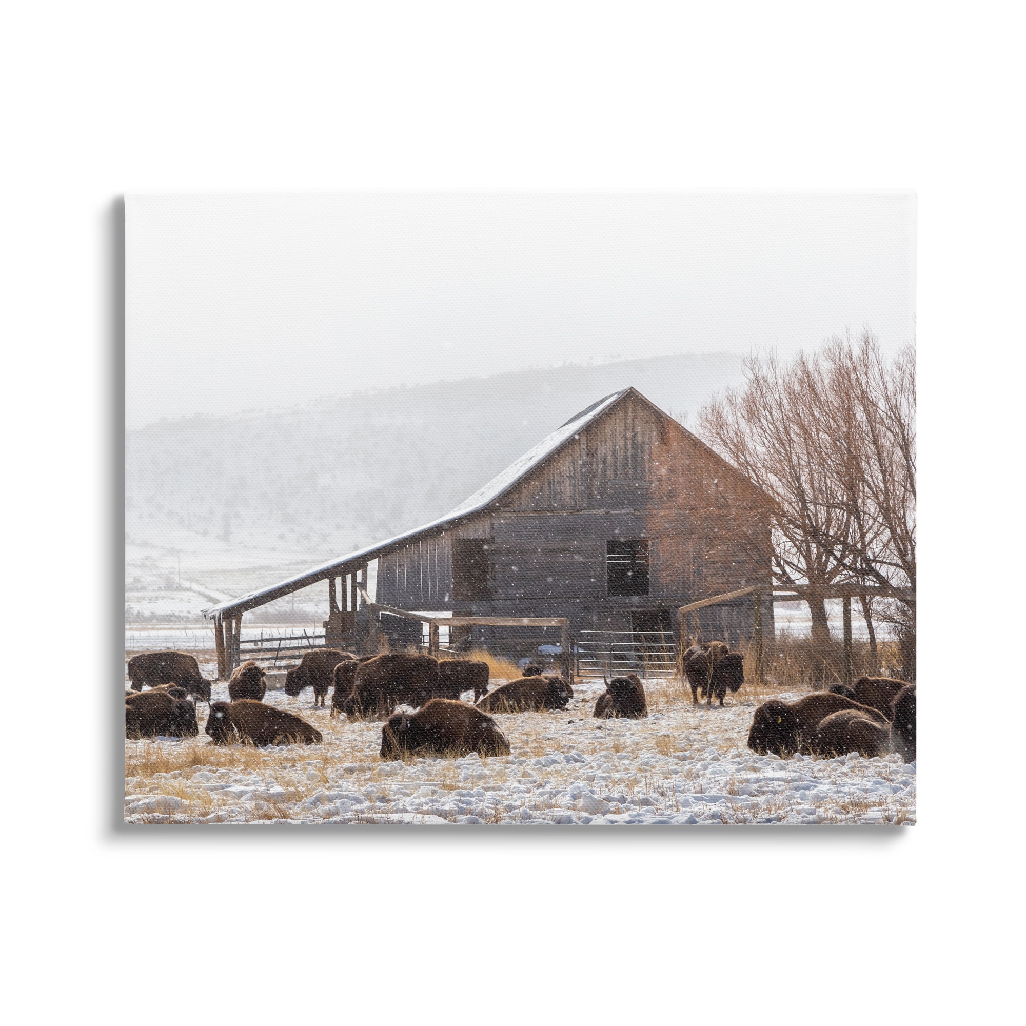 Stupell Industries Snow Dusted Barn Buffalo Bison Rural Farm Photograph Gallery Wrapped Canvas Print Wall Art, Design by Jeff Poe Photography