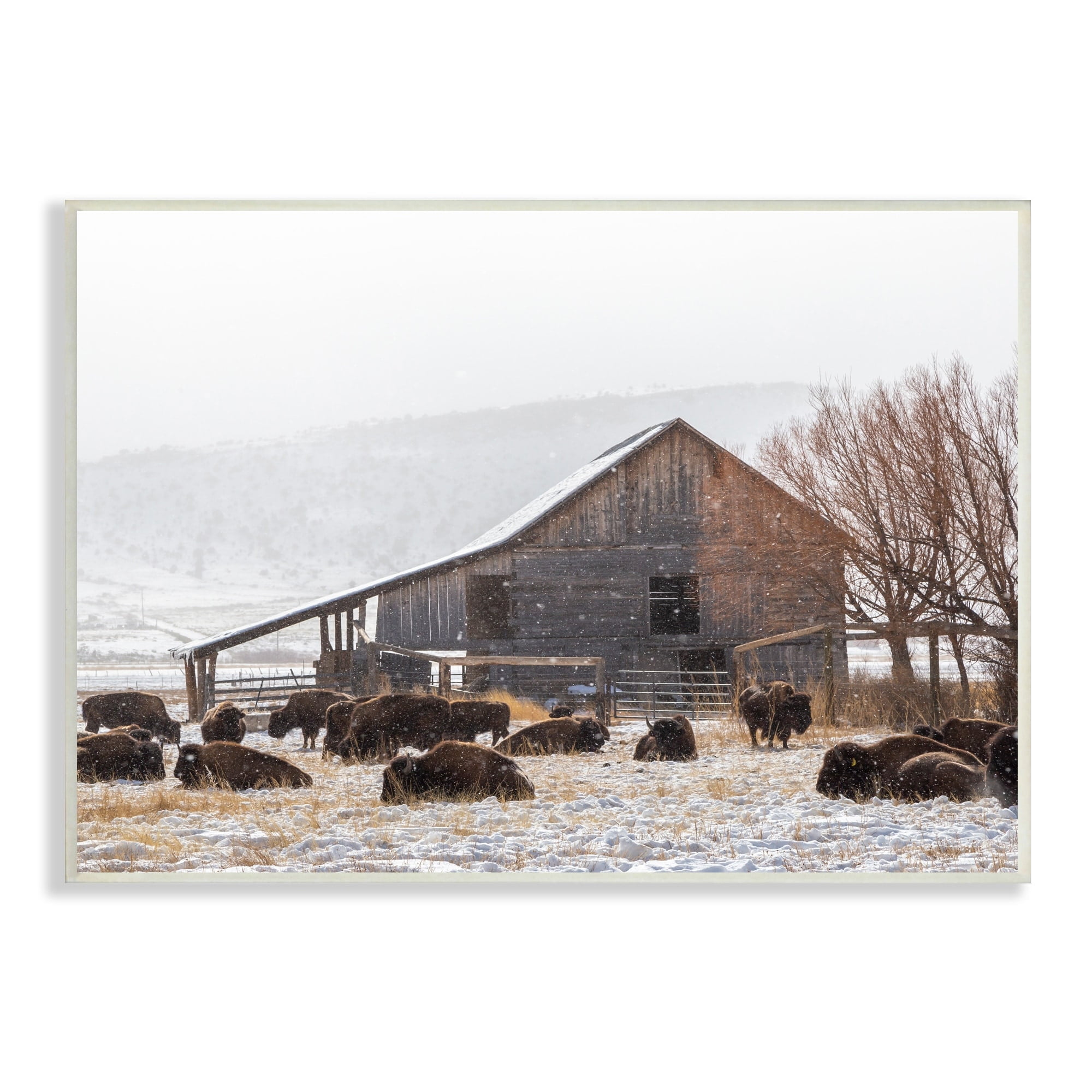 Stupell Industries Snow Dusted Barn Buffalo Bison Rural Farm Photograph Unframed Art Print Wall Art, Design by Jeff Poe Photography