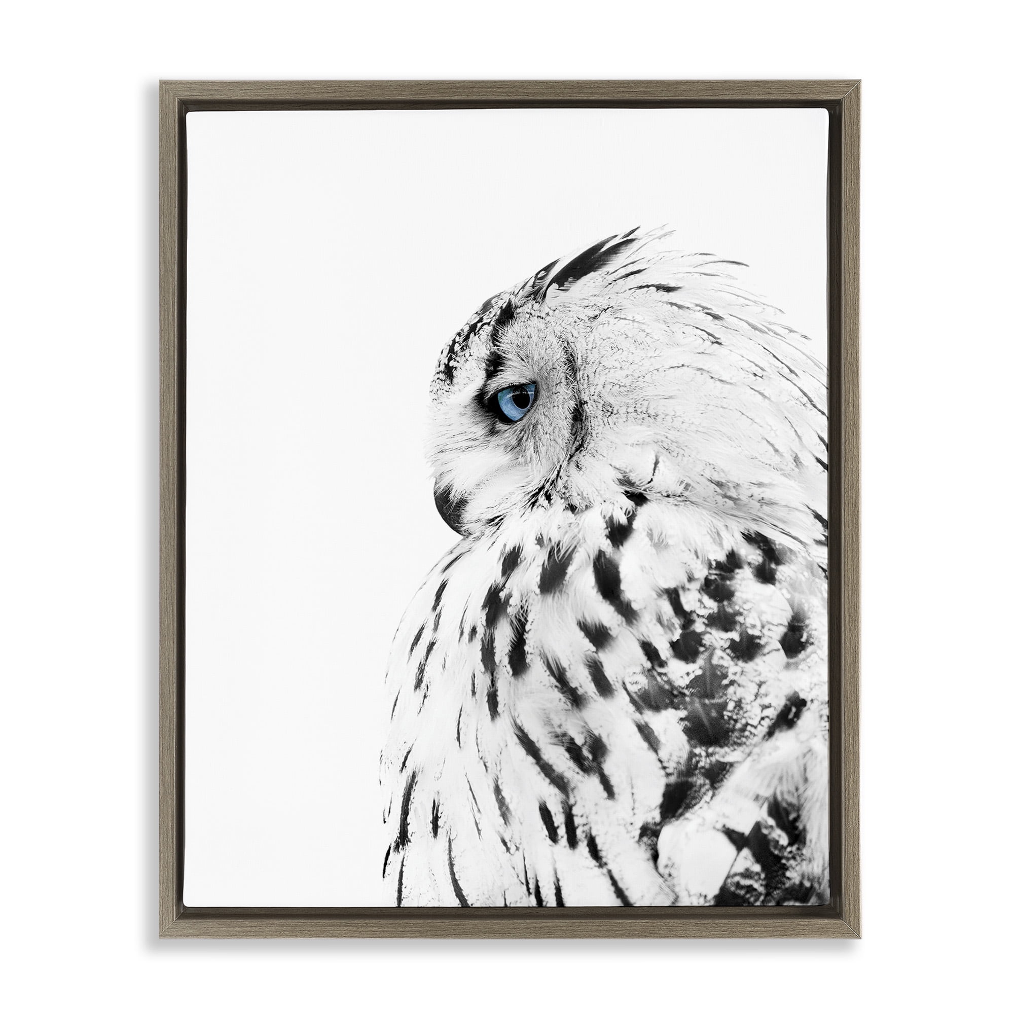 Stupell Industries Snow Owl Peering Blue Eyes Animals & Insects Photography Brown Floater Framed Canvas Art Print Wall Art, 25 x 31