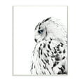 thumbnail image 1 of Stupell Industries Snow Owl White Feathers Peering Blue Eyes,13 x 19,Designed by Design Fabrikken, 1 of 6