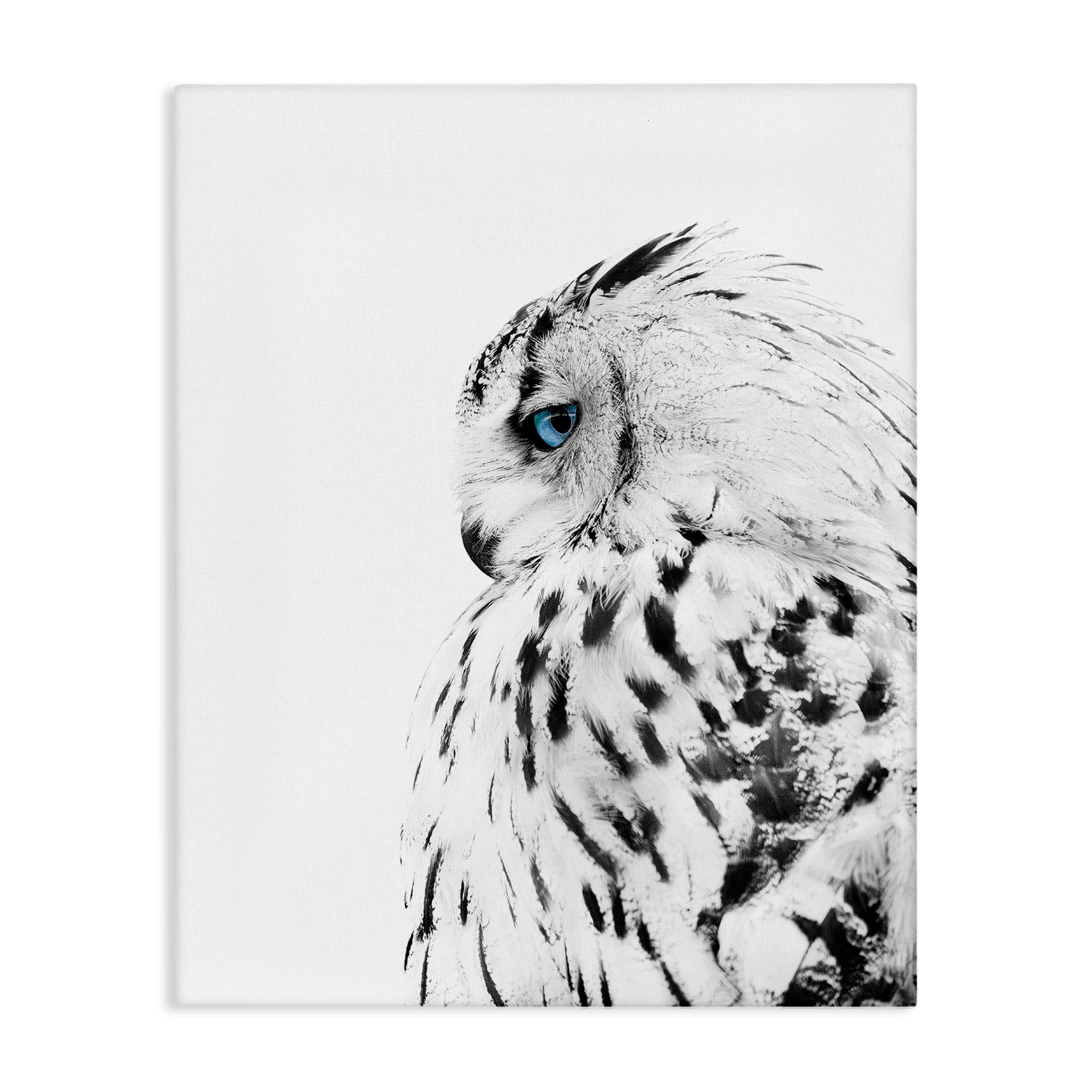 Stupell Industries Snow Owl White Feathers Peering Blue Eyes,16 x 20,Designed by Design Fabrikken
