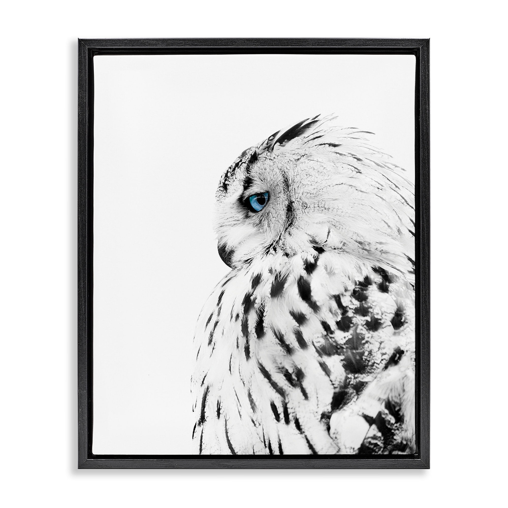 Stupell Industries Snow Owl White Feathers Peering Blue Eyes Jet Black Framed Floating Canvas Wall Art, 24x30, by Design Fabrikken