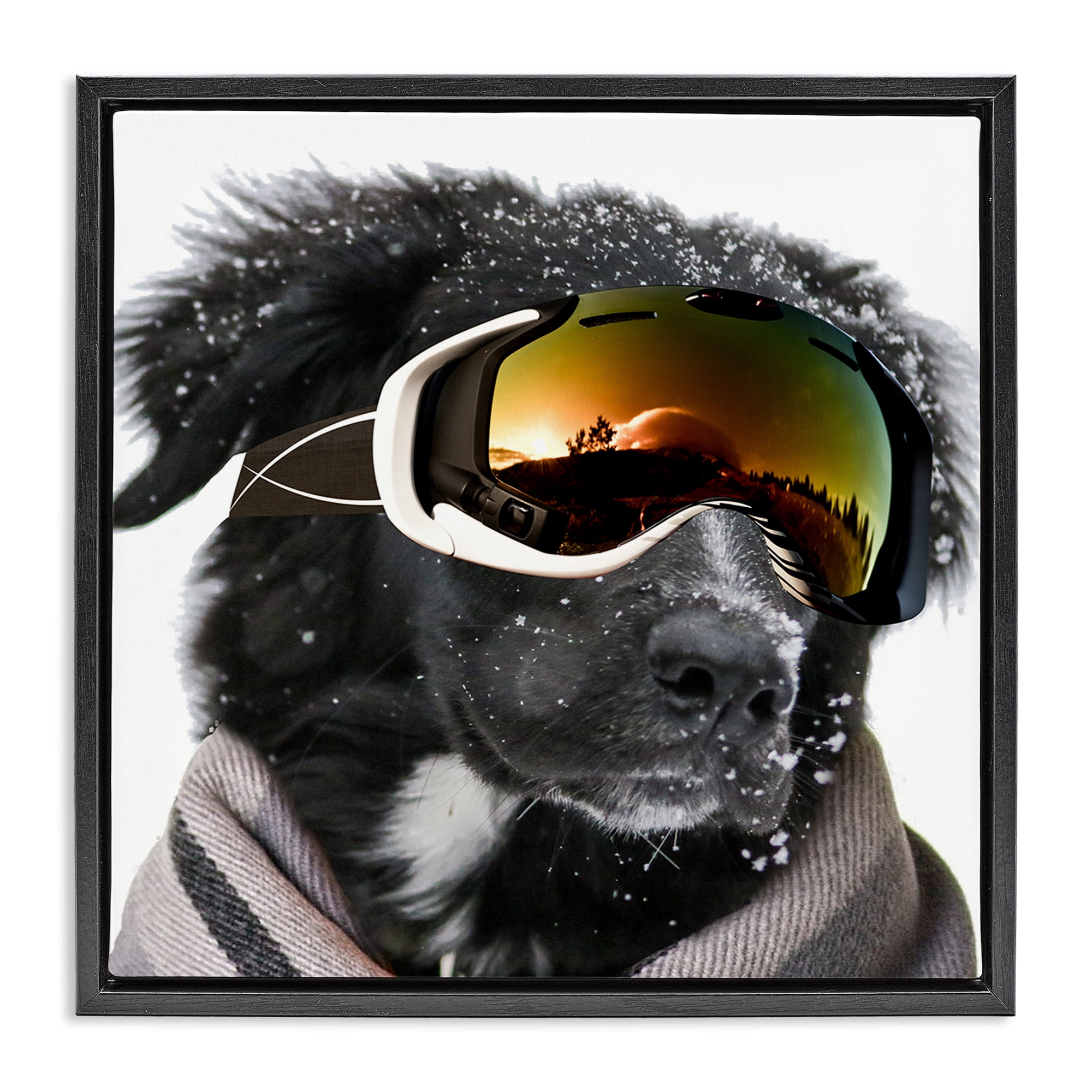 Stupell Industries Snowboarder Dog with Goggles Animals & Insects Painting Black Floater Framed Canvas Art Print Wall Art, 25 x 25