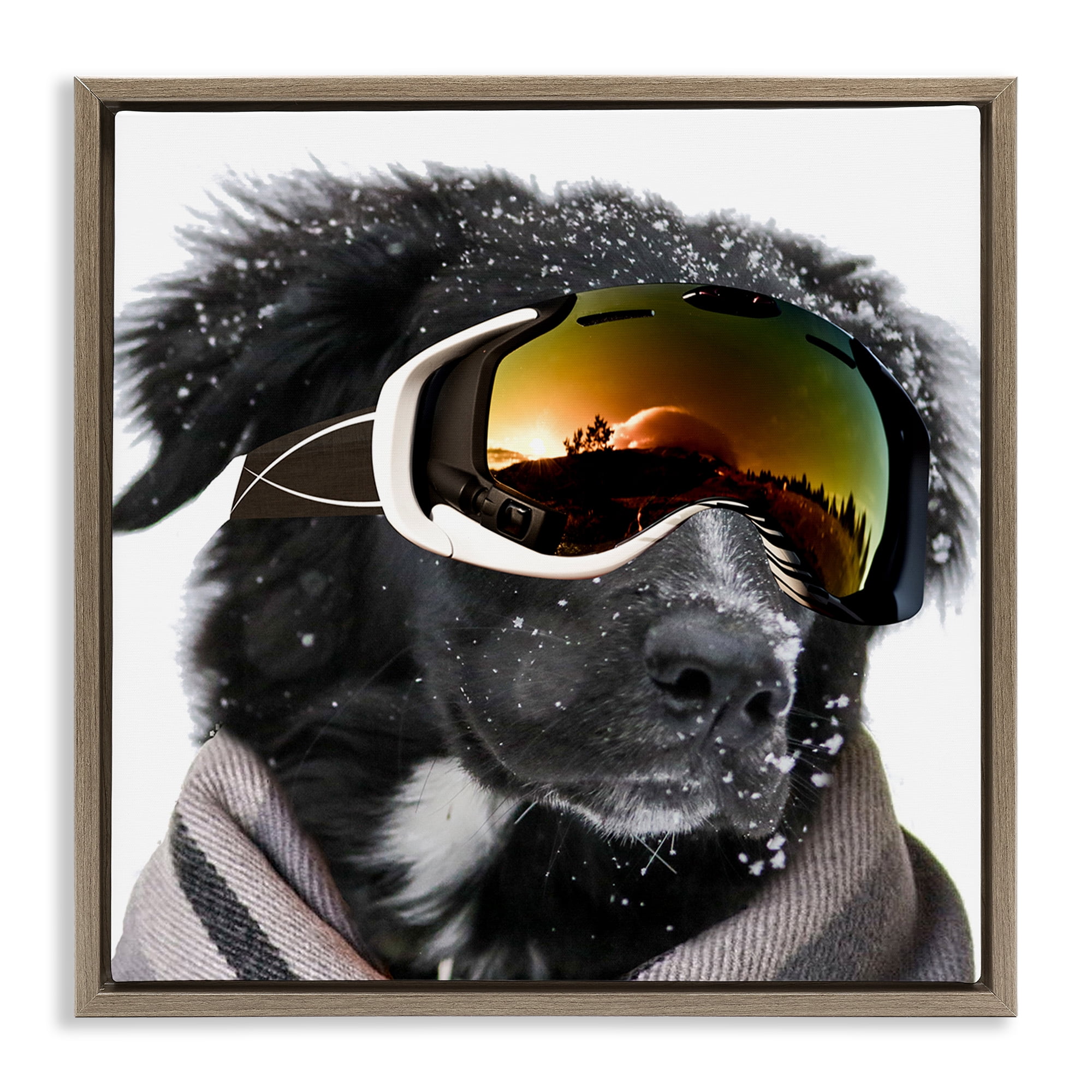 Stupell Industries Snowboarder Dog with Goggles Animals & Insects Painting Brown Floater Framed Canvas Art Print Wall Art, 25 x 25