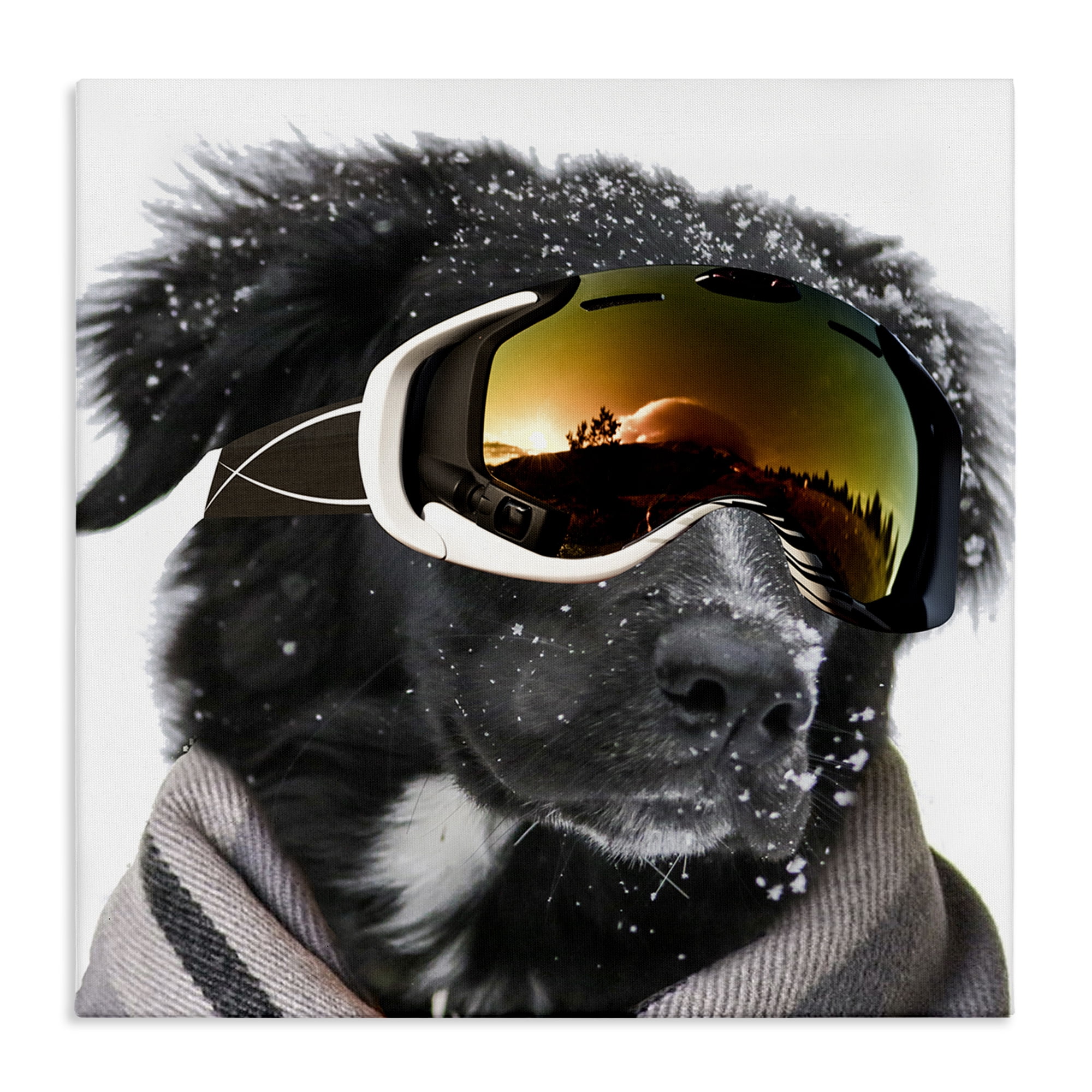 Stupell Industries Snowboarder Dog with Goggles Animals & Insects Painting Gallery Wrapped Canvas Art Print Wall Art, 24 x 24