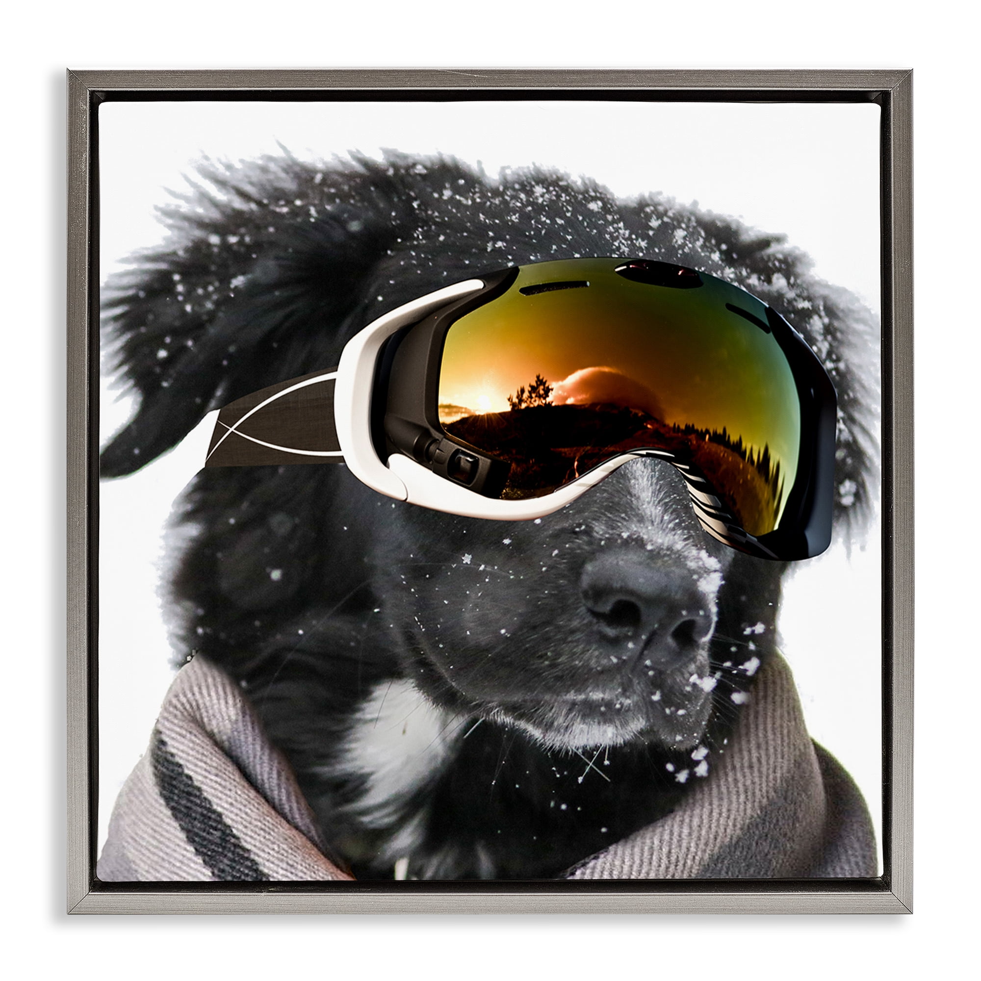 Stupell Industries Snowboarder Dog with Goggles Animals & Insects Painting Gray Floater Framed Canvas Art Print Wall Art, 18 x 18