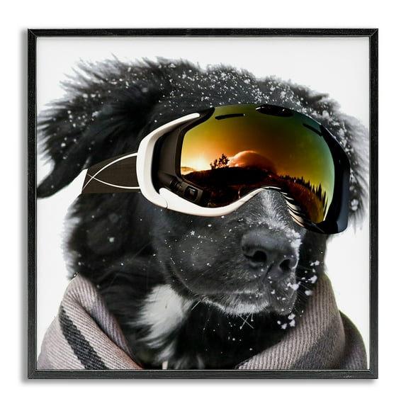 Stupell Industries Snowboarder Dog with Goggles Animals & Insects Painting Gray Framed Art Print Wall Art, 24 x 24