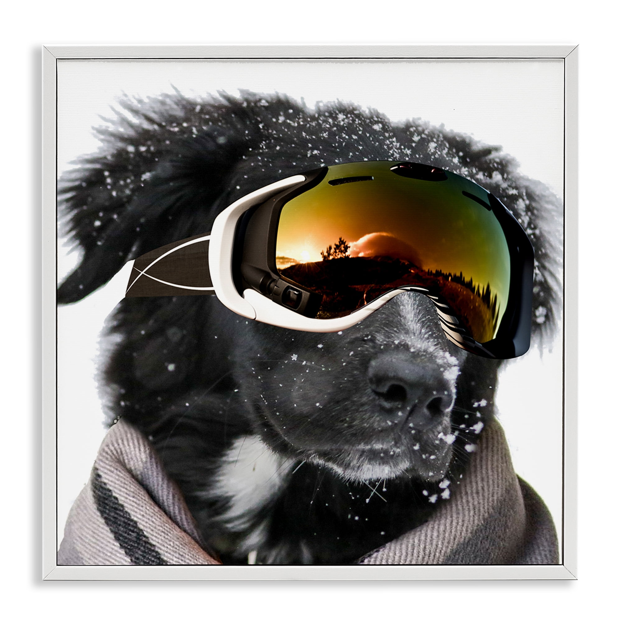 Stupell Industries Snowboarder Dog with Goggles Animals & Insects Painting White Framed Art Print Wall Art, 12 x 12