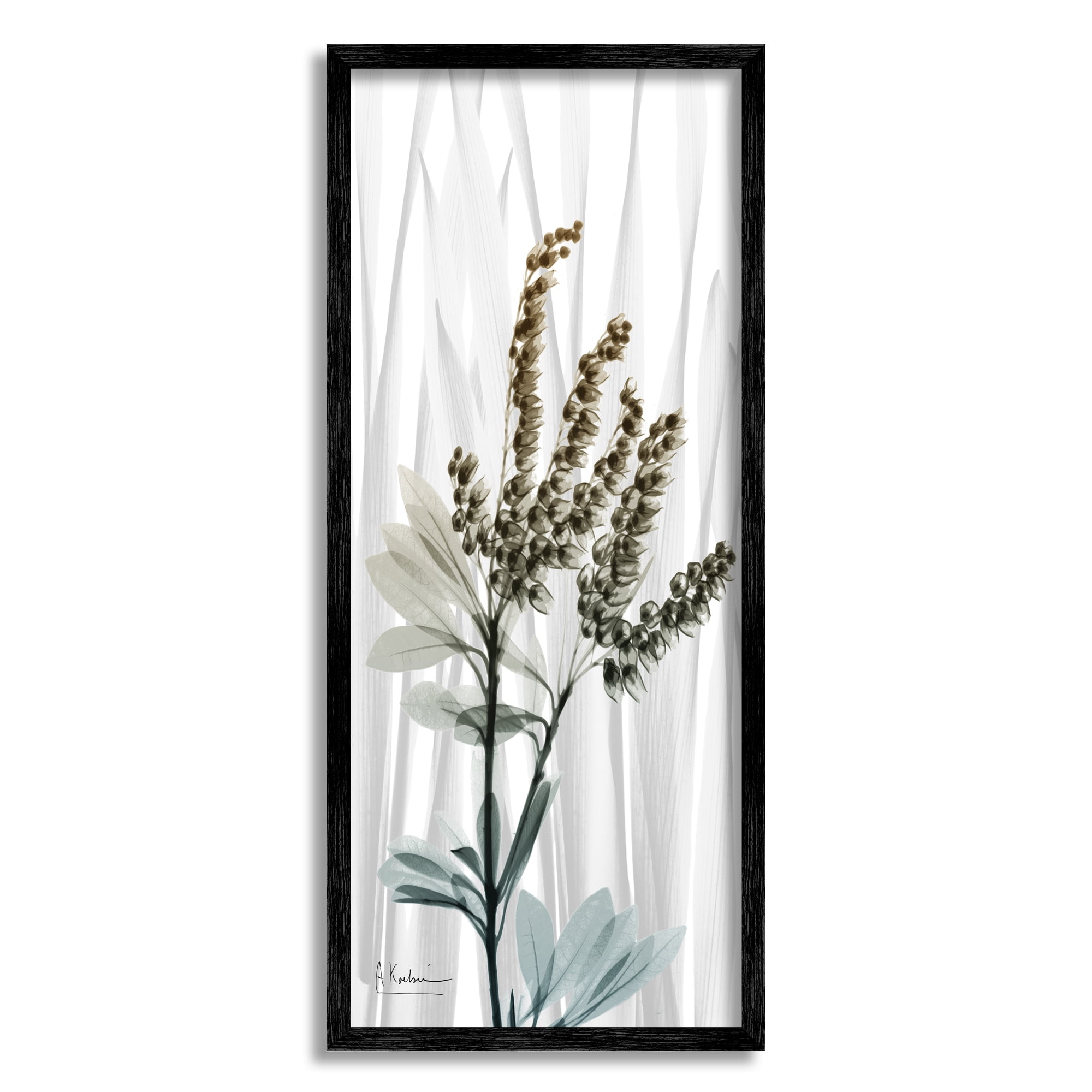 Stupell Industries Snowdrops X-Ray Plant Botanical & Floral Painting Black Framed Art Print Wall Art, 10 x 24