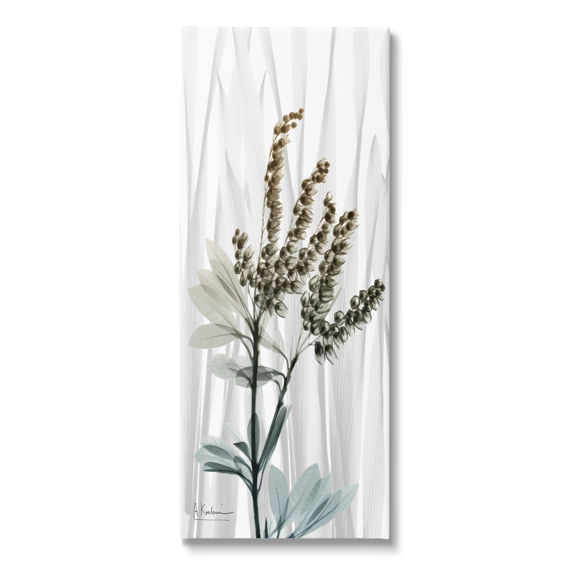 Stupell Industries Snowdrops X-Ray Plant Botanical & Floral Painting Gallery Wrapped Canvas Print Wall Art, 10 x 24