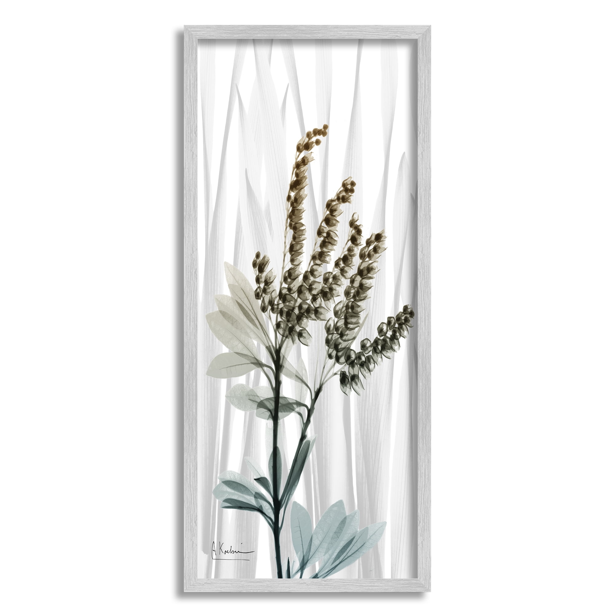 Stupell Industries Snowdrops X-Ray Plant Botanical & Floral Painting Gray Framed Art Print Wall Art, 10 x 24