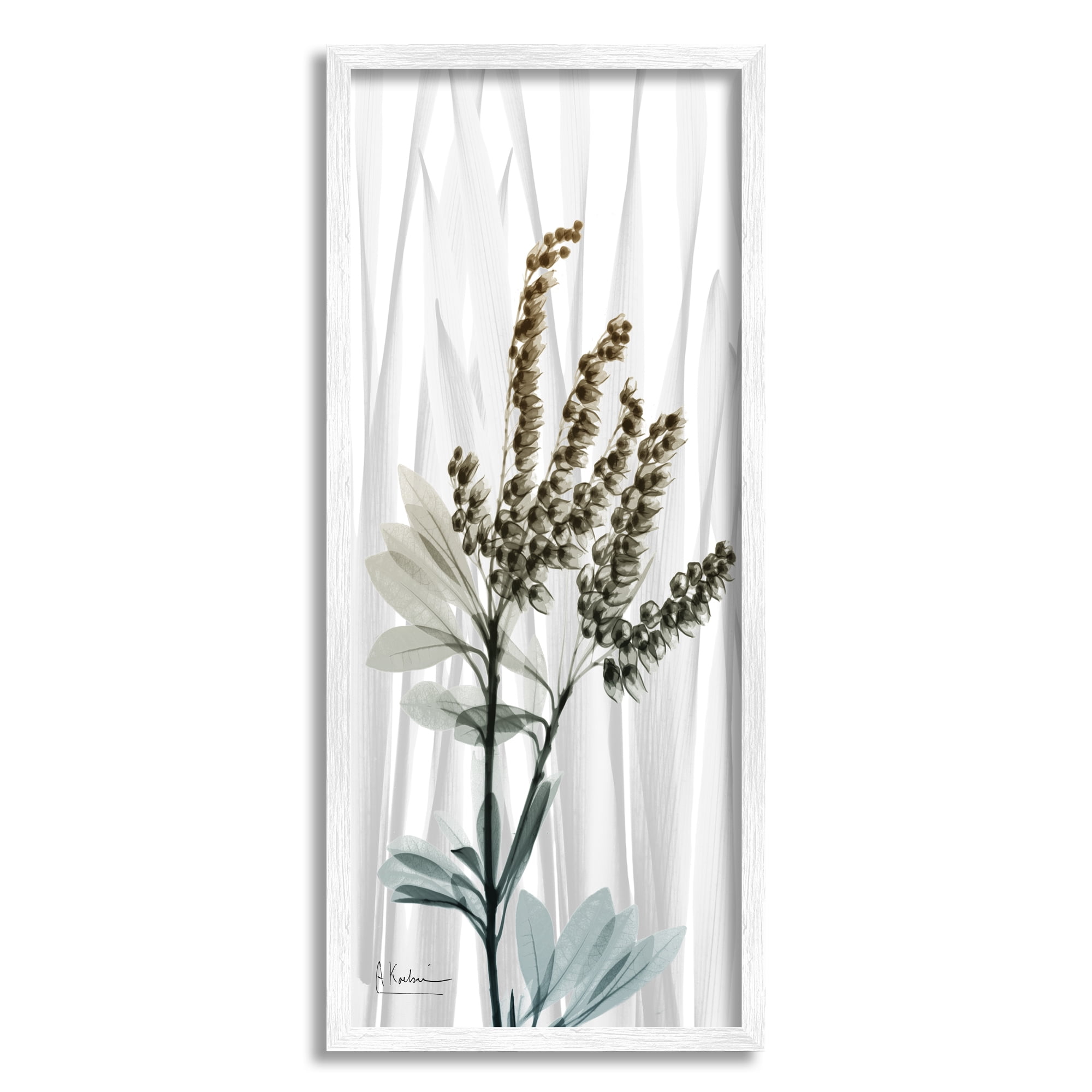 Stupell Industries Snowdrops X-Ray Plant Botanical & Floral Painting White Framed Art Print Wall Art, 10 x 24