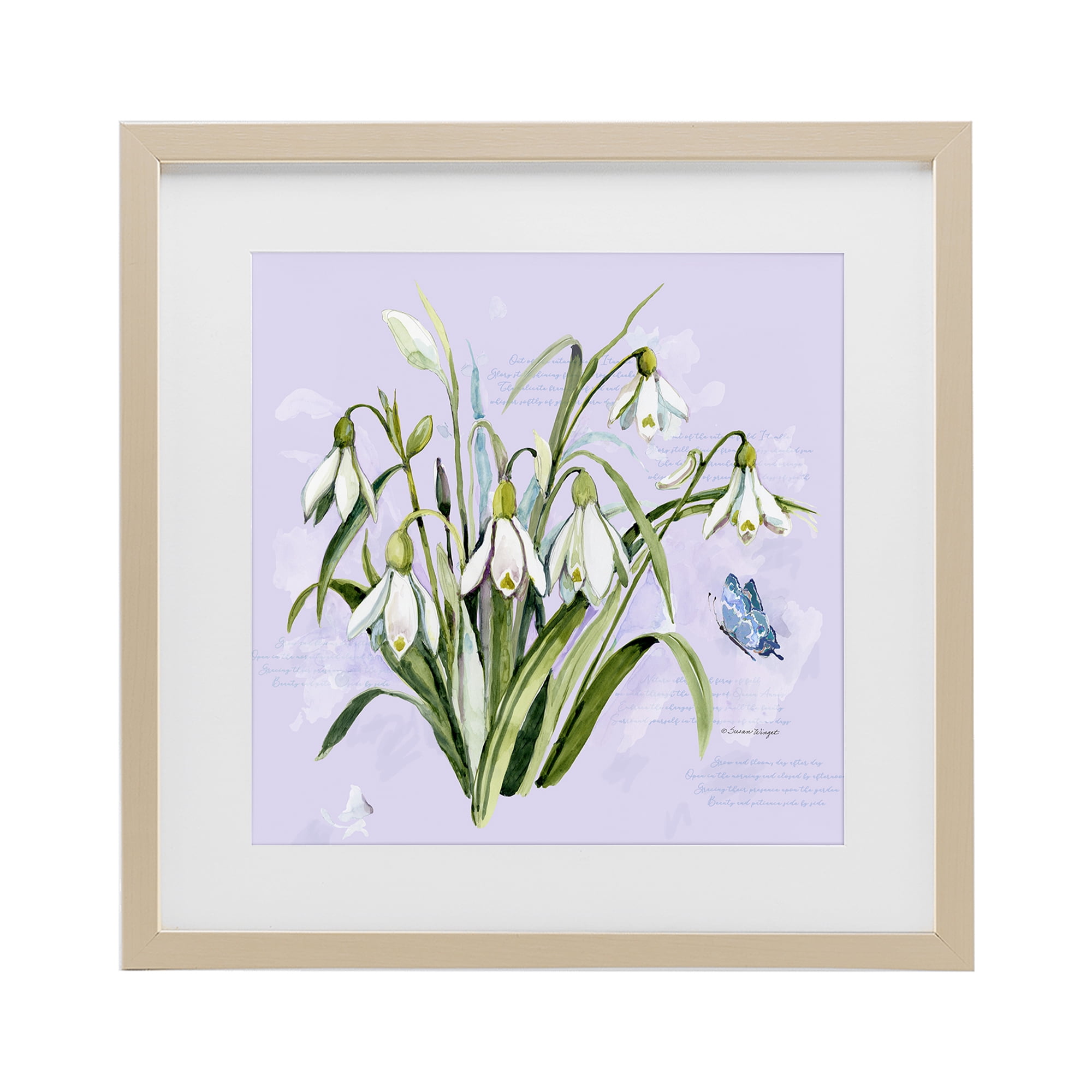 Stupell Industries Snowdrops with Vintage Writings Birch Framed Print Under Glass, design by Susan Winget
