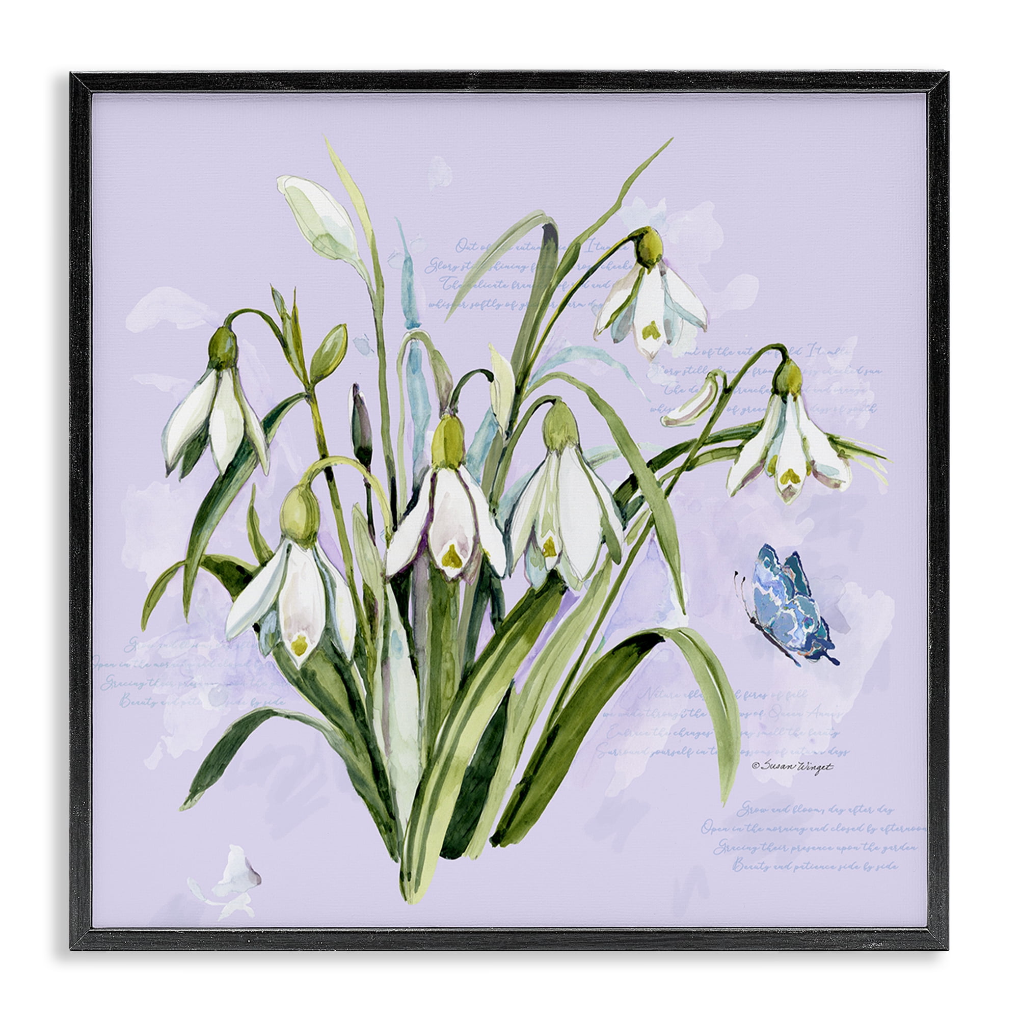 Stupell Industries Snowdrops with Vintage Writings Black Framed Giclee Art, design by Susan Winget