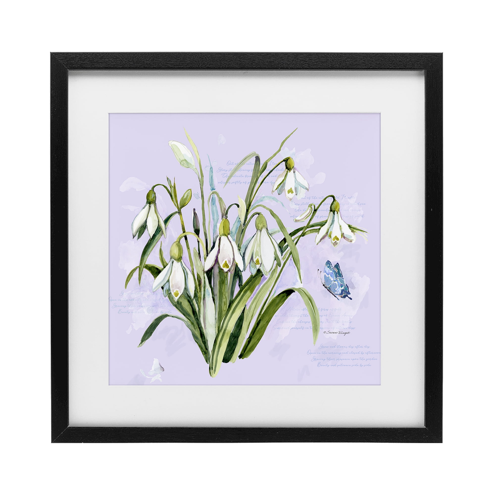 Stupell Industries Snowdrops with Vintage Writings Black Framed Print Under Glass, design by Susan Winget