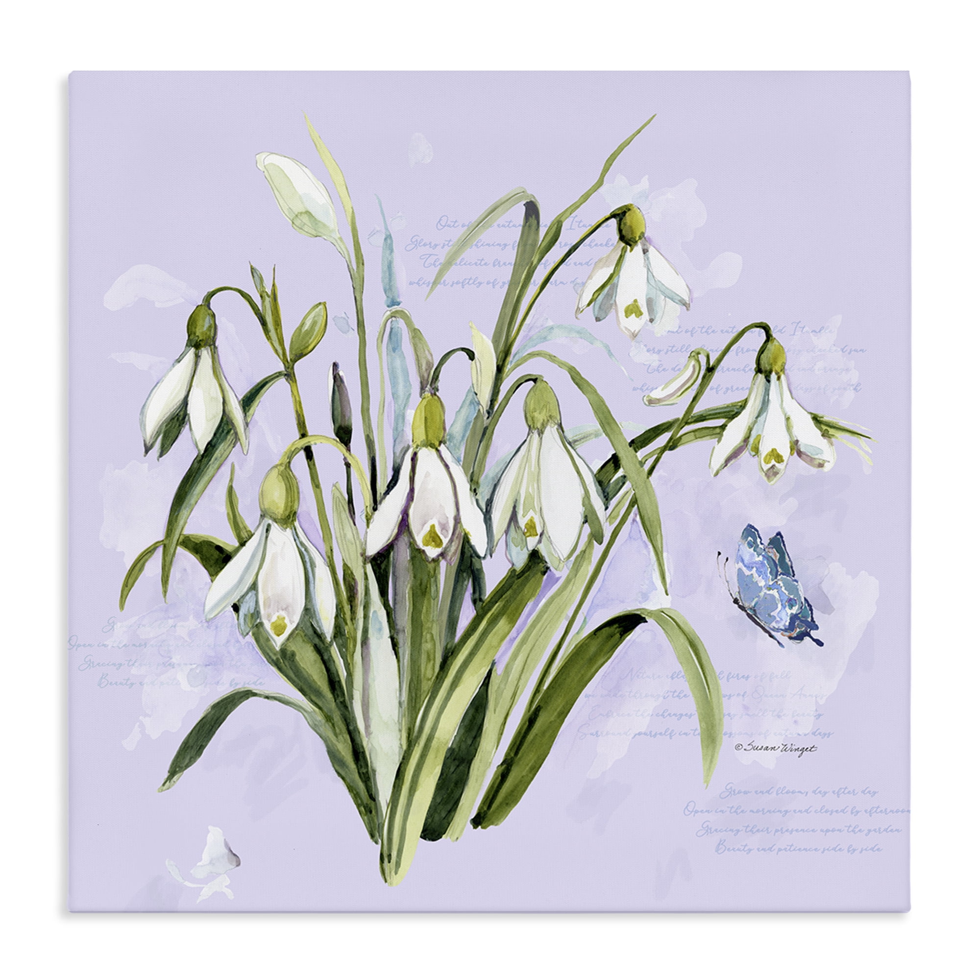 Stupell Industries Snowdrops with Vintage Writings Canvas Wall Art, design by Susan Winget