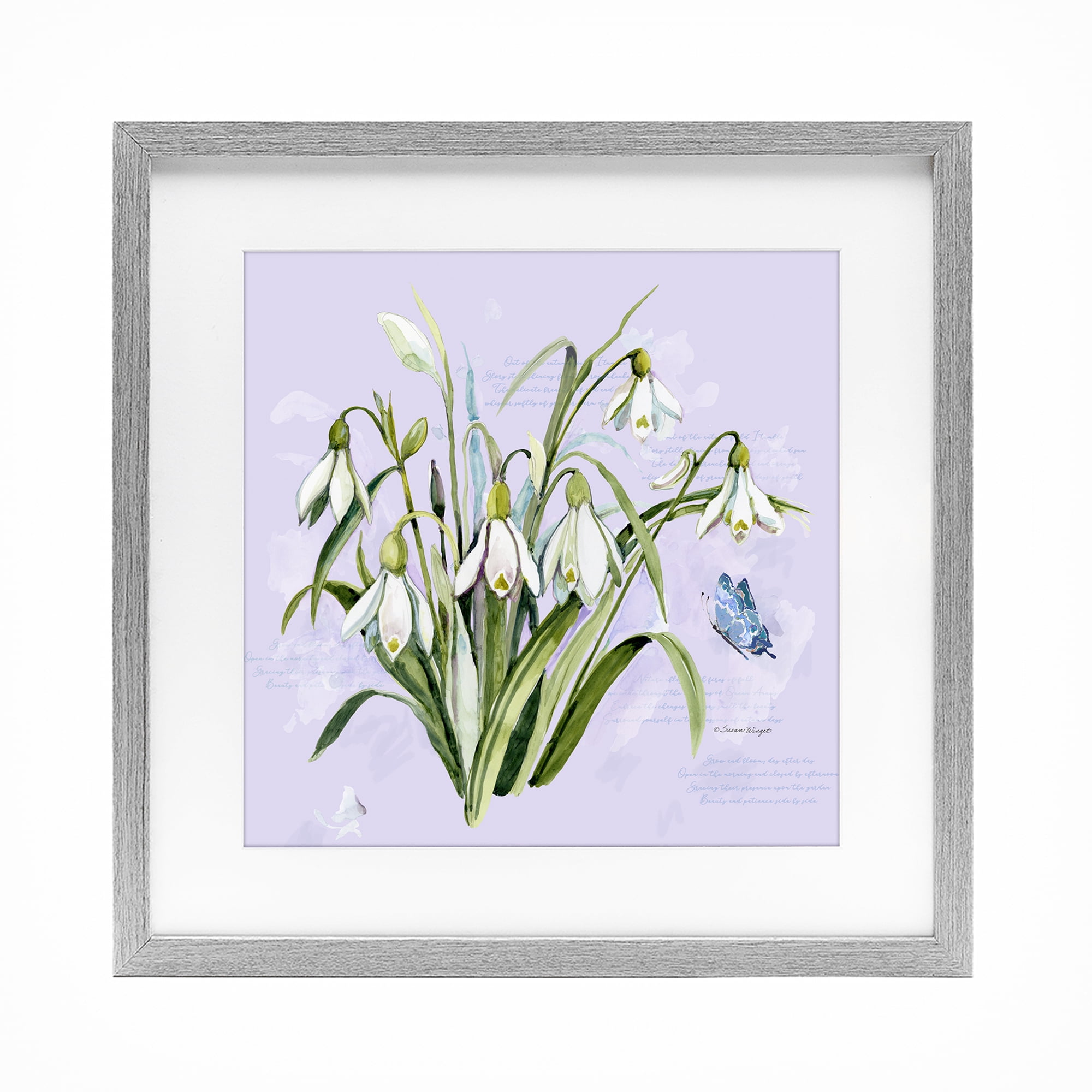 Stupell Industries Snowdrops with Vintage Writings Gray Framed Print Under Glass, design by Susan Winget