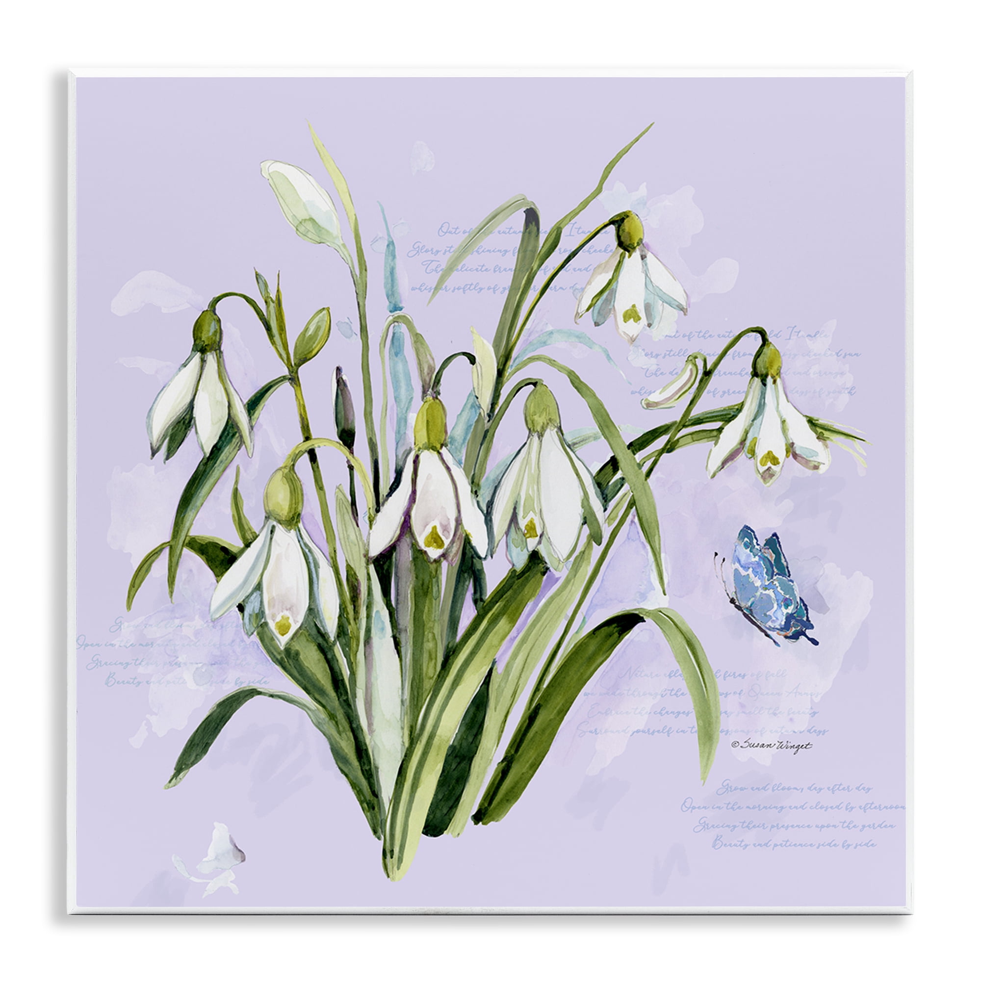 Stupell Industries Snowdrops with Vintage Writings Wall Plaque Art, design by Susan Winget