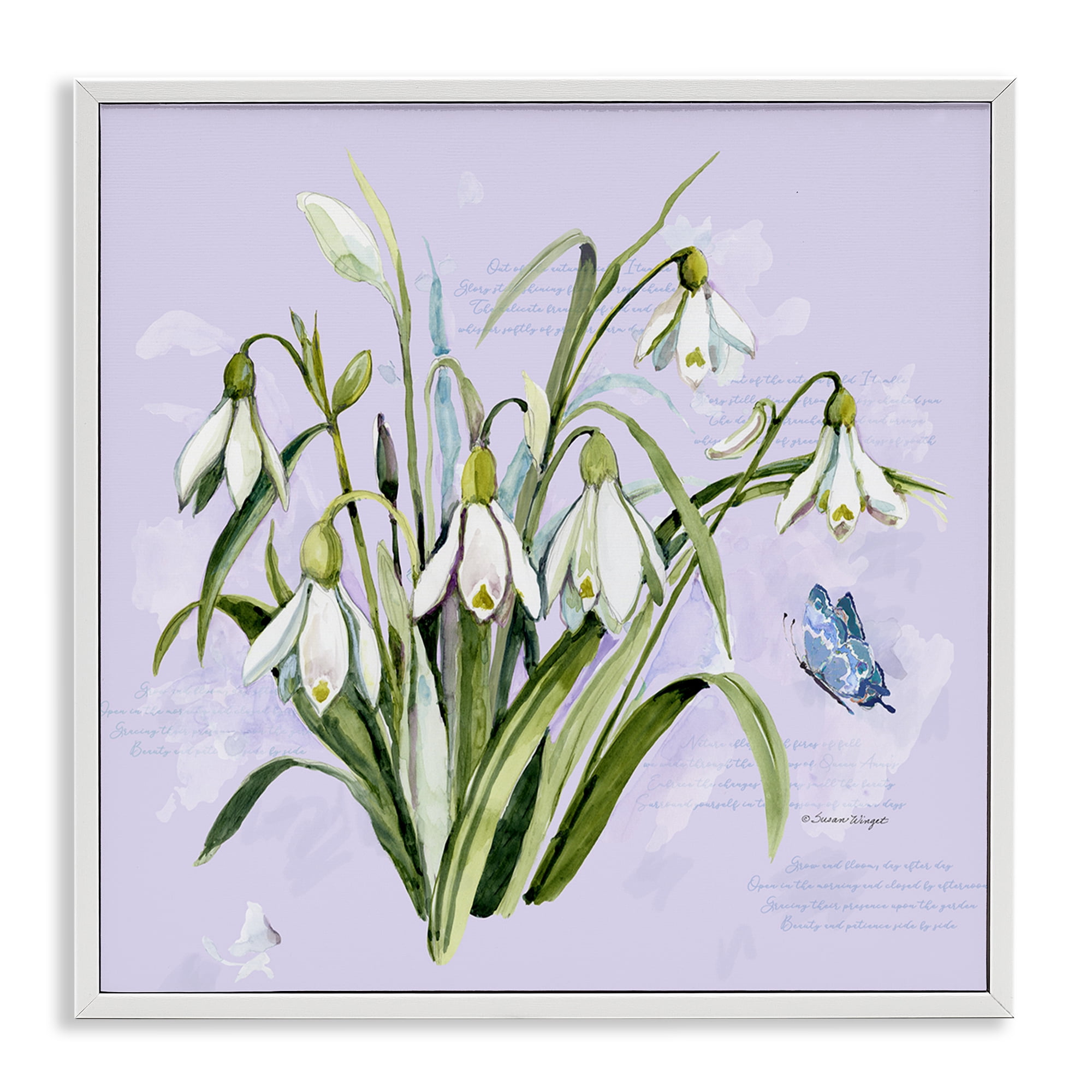 Stupell Industries Snowdrops with Vintage Writings White Framed Giclee Art, design by Susan Winget