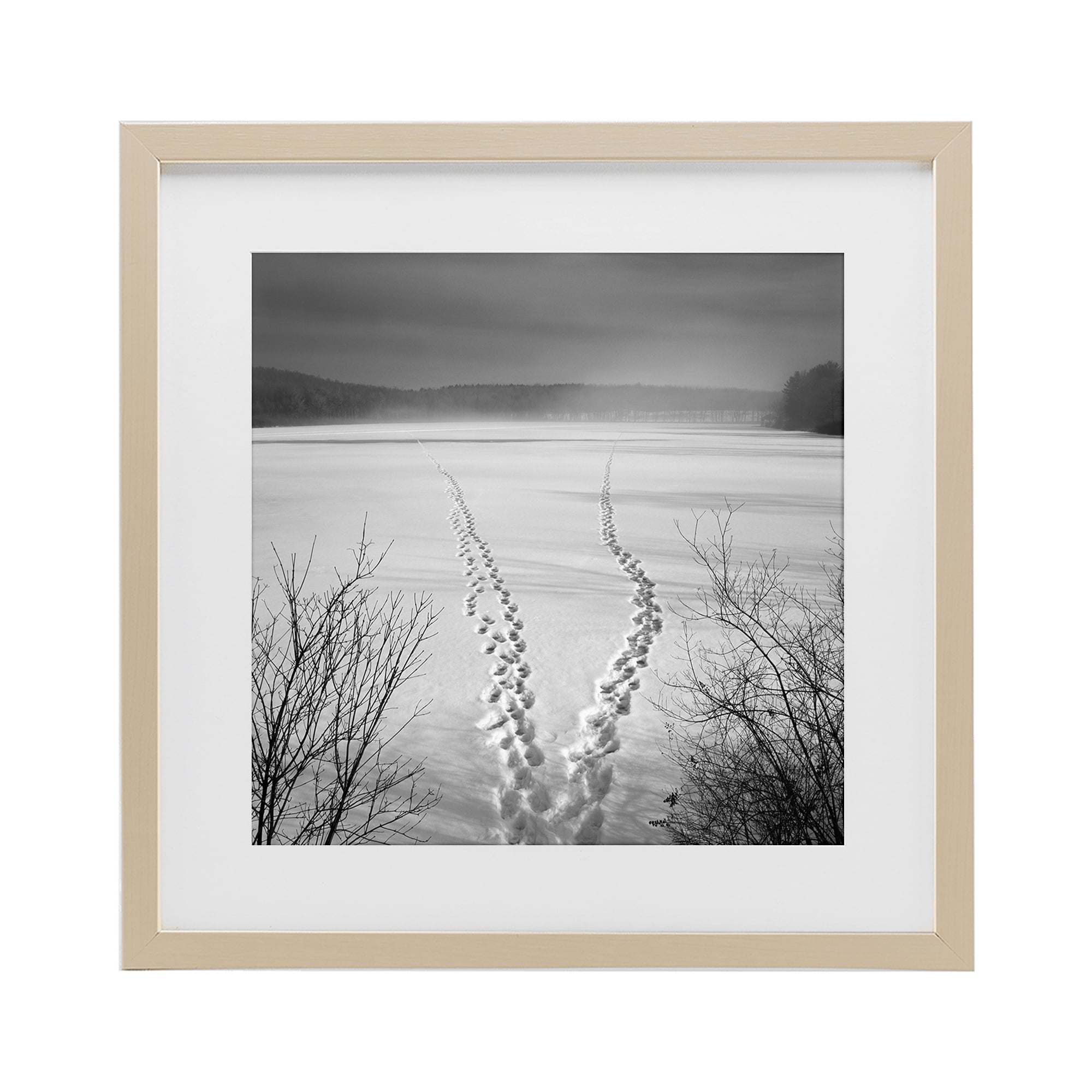 Stupell Industries Snowstep Tracks Across Frozen Lakes Birch Framed Print Under Glass, design by Chip Forelli