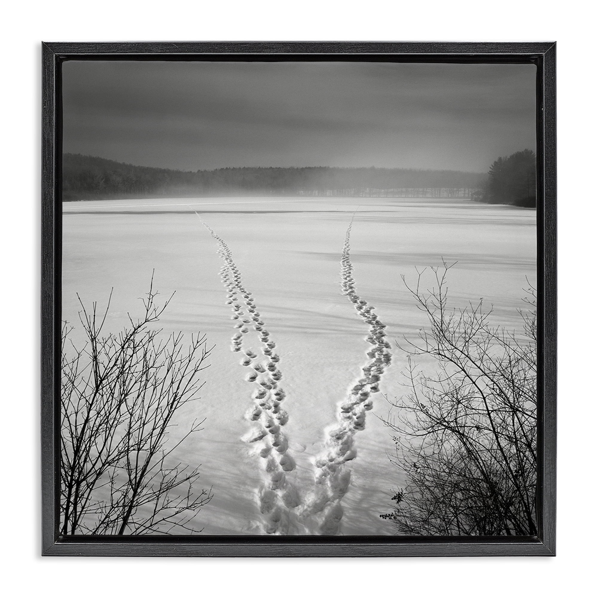 Stupell Industries Snowstep Tracks Across Frozen Lakes Black Framed Floater Canvas Wall Art, design by Chip Forelli