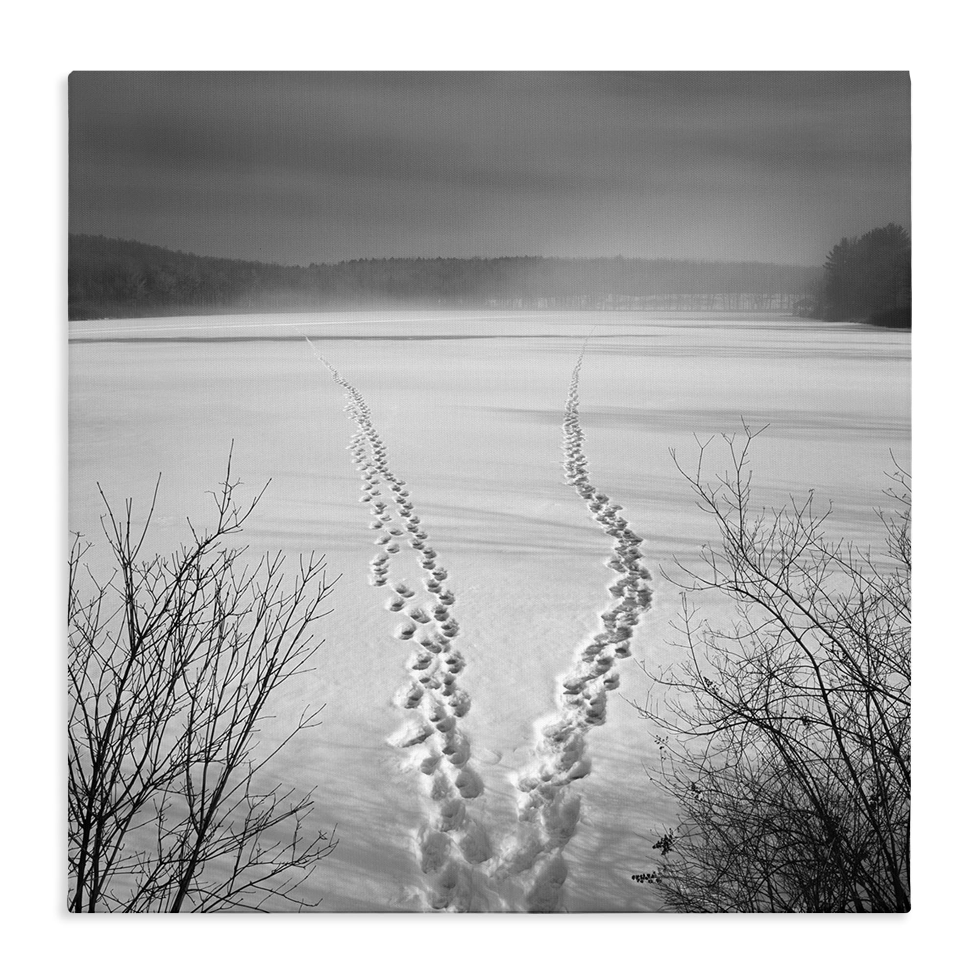 Stupell Industries Snowstep Tracks Across Frozen Lakes Canvas Wall Art, design by Chip Forelli