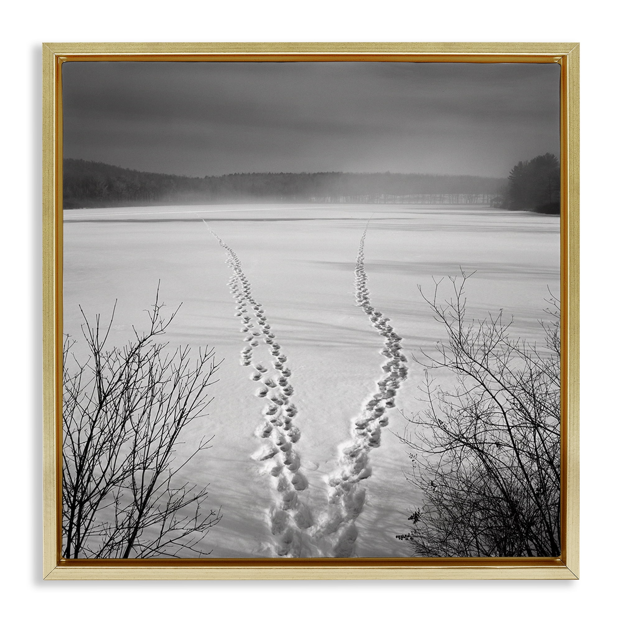 Stupell Industries Snowstep Tracks Across Frozen Lakes Gold Framed Floater Canvas Wall Art, design by Chip Forelli