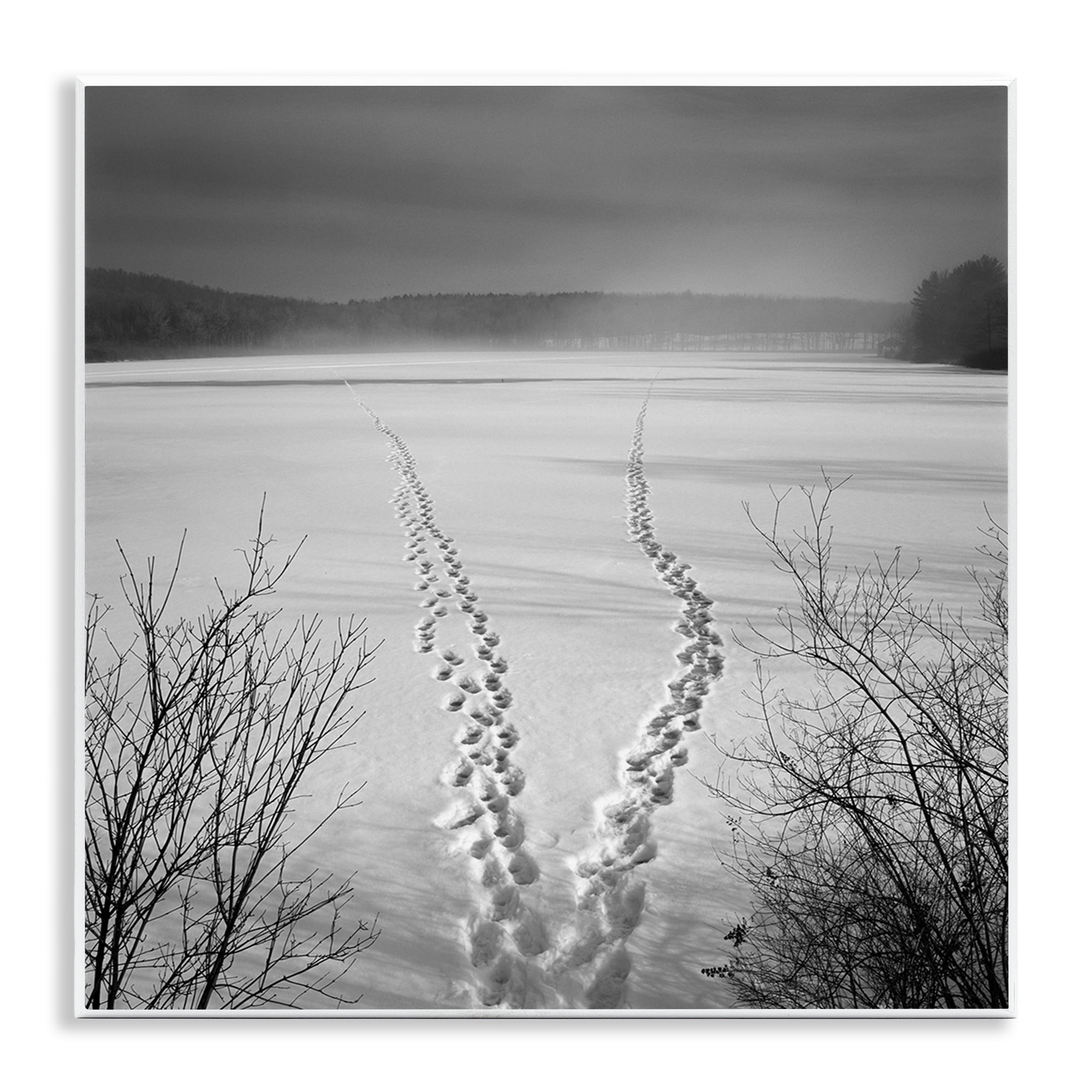 Stupell Industries Snowstep Tracks Across Frozen Lakes Wall Plaque Art, design by Chip Forelli