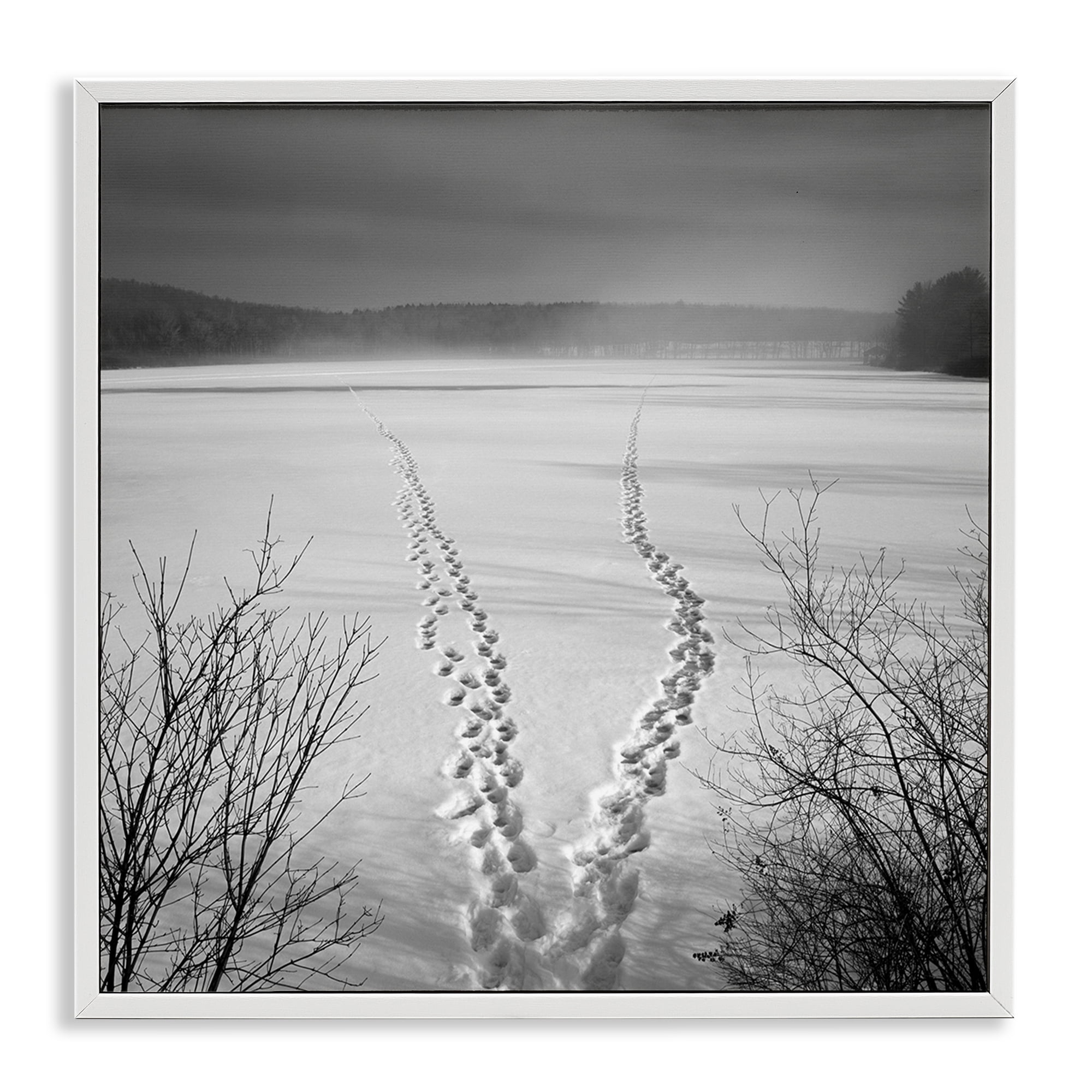 Stupell Industries Snowstep Tracks Across Frozen Lakes White Framed Giclee Art, design by Chip Forelli