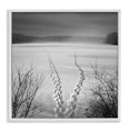 thumbnail image 1 of Stupell Industries Tropical Snowstep Tracks Across Frozen Lakes White Framed Giclee Art, 17 x 17, by Chip Forelli, 1 of 8