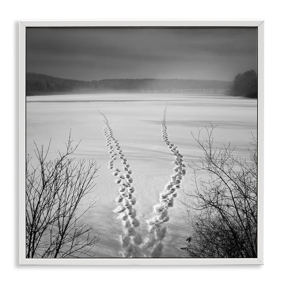 Stupell Industries Tropical Snowstep Tracks Across Frozen Lakes White Framed Giclee Art, 17 x 17, by Chip Forelli