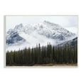 thumbnail image 1 of Stupell Industries Snowy Mountain Top Tall Fir Trees Modern Photography, 15 x 10,Design by Jennifer Henriksen, 1 of 6
