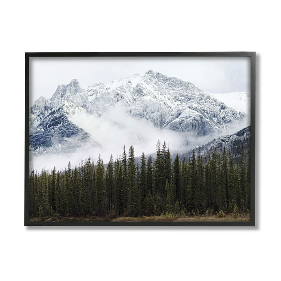 Stupell Industries Snowy Mountain Top Tall Fir Trees Modern Photography Black Framed Art Print Wall Art, 30x24, by Jennifer Henriksen
