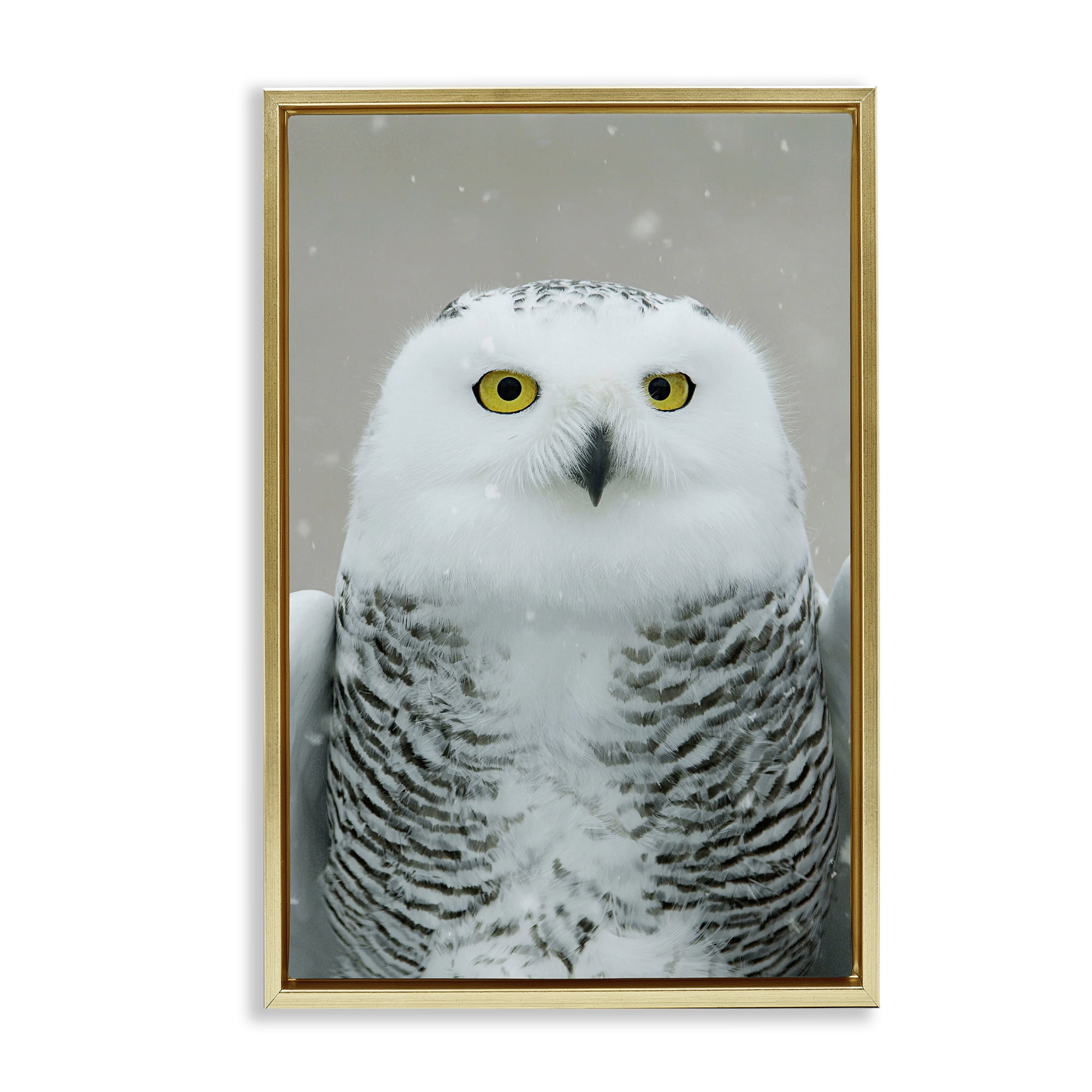Stupell Industries Snowy Owl Portrait Animals & Insects Photography Gold Floater Framed Canvas Art Print Wall Art, 17 x 25