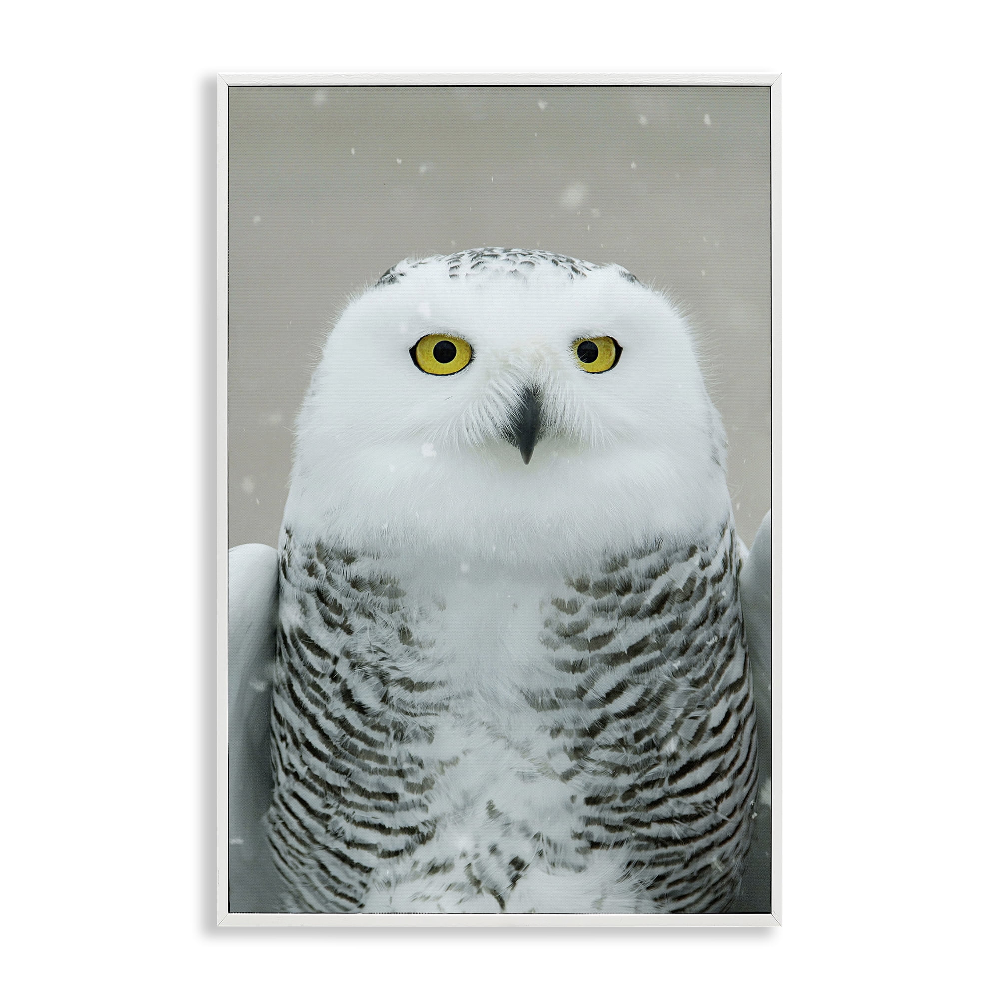 Stupell Industries Snowy Owl Portrait Animals & Insects Photography White Framed Art Print Wall Art, 16 x 24