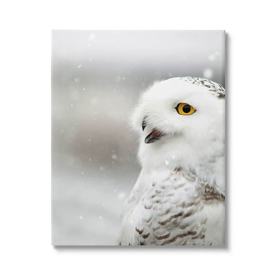 Stupell Industries Snowy Owl Winter Gaze Photograph Gallery Wrapped Canvas Print Wall Art, Design by Carrie Ann Grippo-Pike
