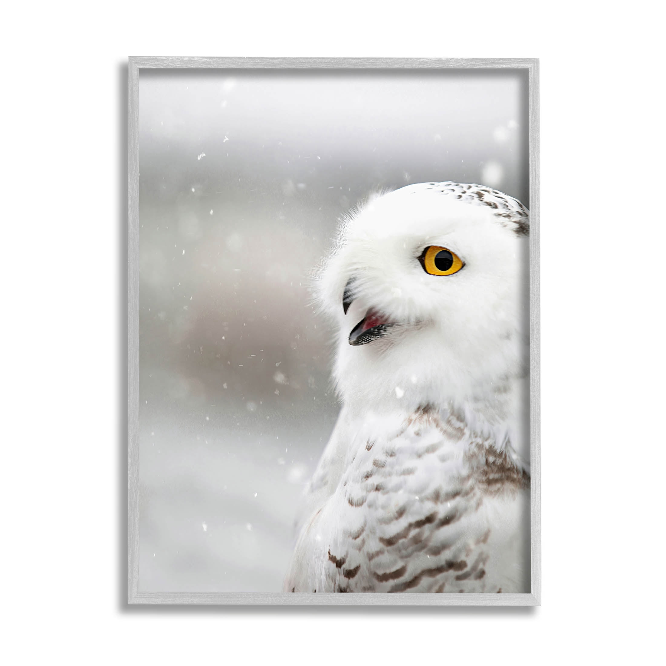Stupell Industries Snowy Owl Winter Gaze Photograph Gray Framed Art Print Wall Art, Design by Carrie Ann Grippo-Pike