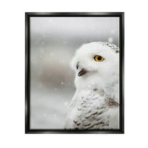 Stupell Industries Snowy Owl Winter Gaze Photograph Jet Black Floating Framed Canvas Print Wall Art, Design by Carrie Ann Grippo-Pike
