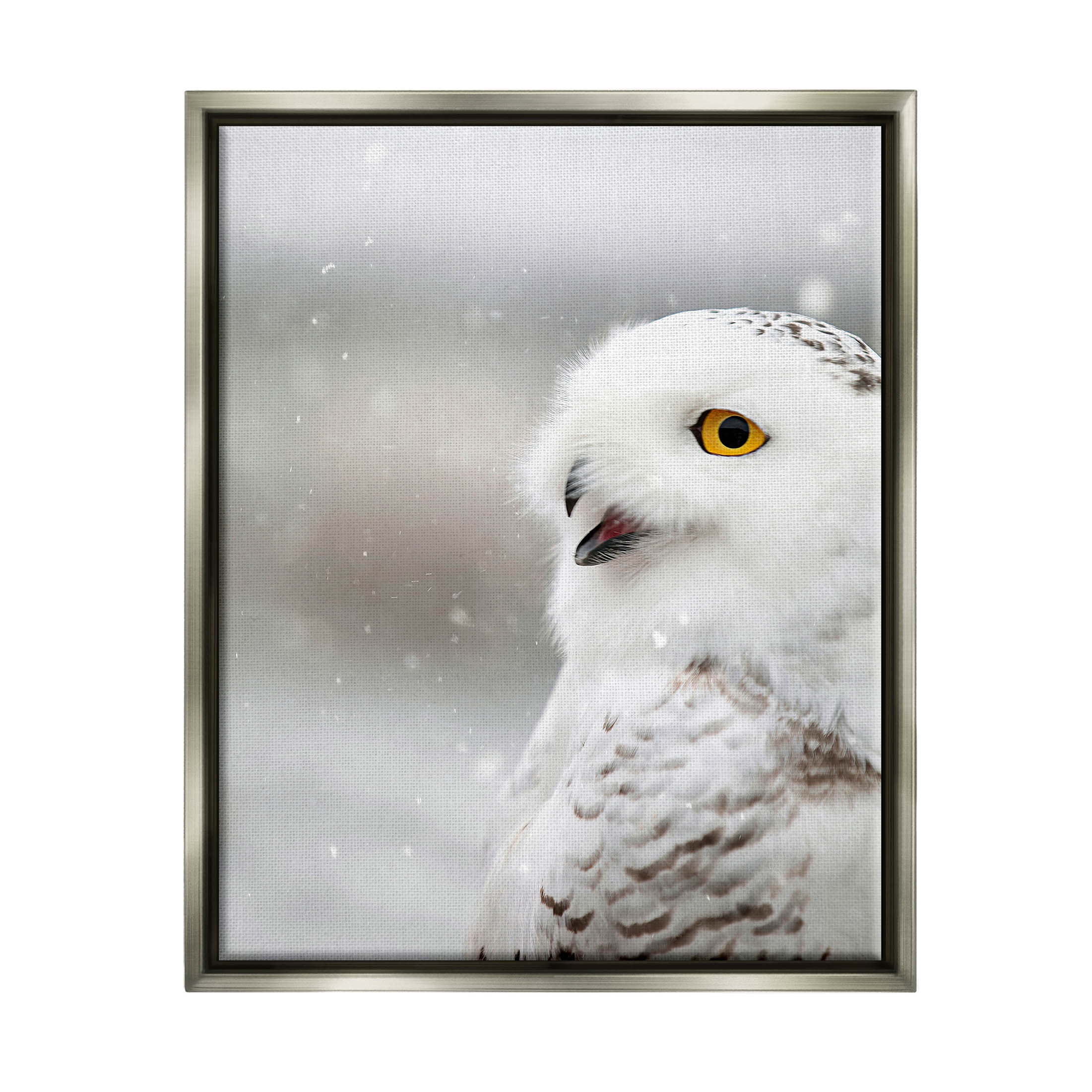 Stupell Industries Snowy Owl Winter Gaze Photograph Luster Gray Floating Framed Canvas Print Wall Art, Design by Carrie Ann Grippo-Pike