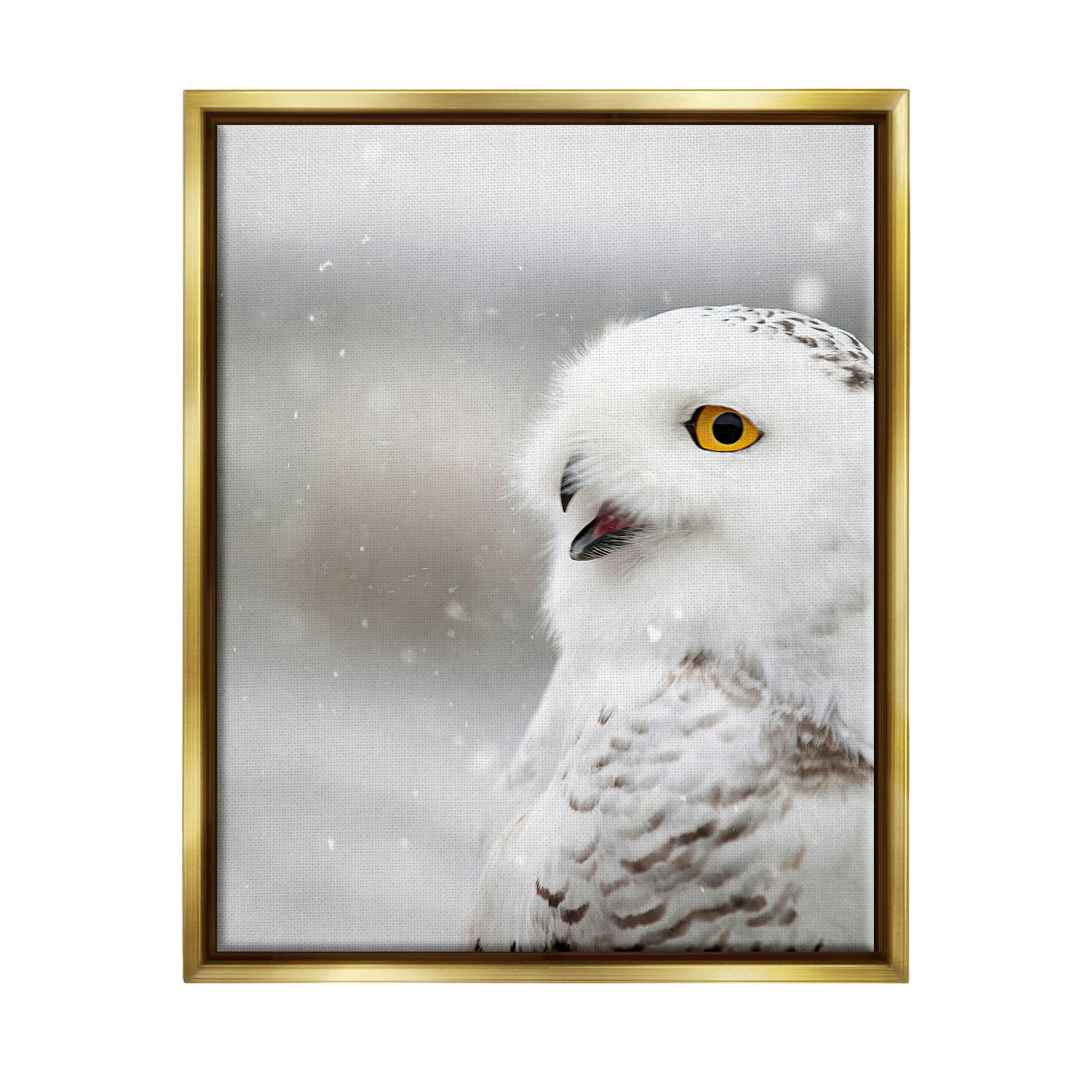 Stupell Industries Snowy Owl Winter Gaze Photograph Metallic Gold Floating Framed Canvas Print Wall Art, Design by Carrie Ann Grippo-Pike