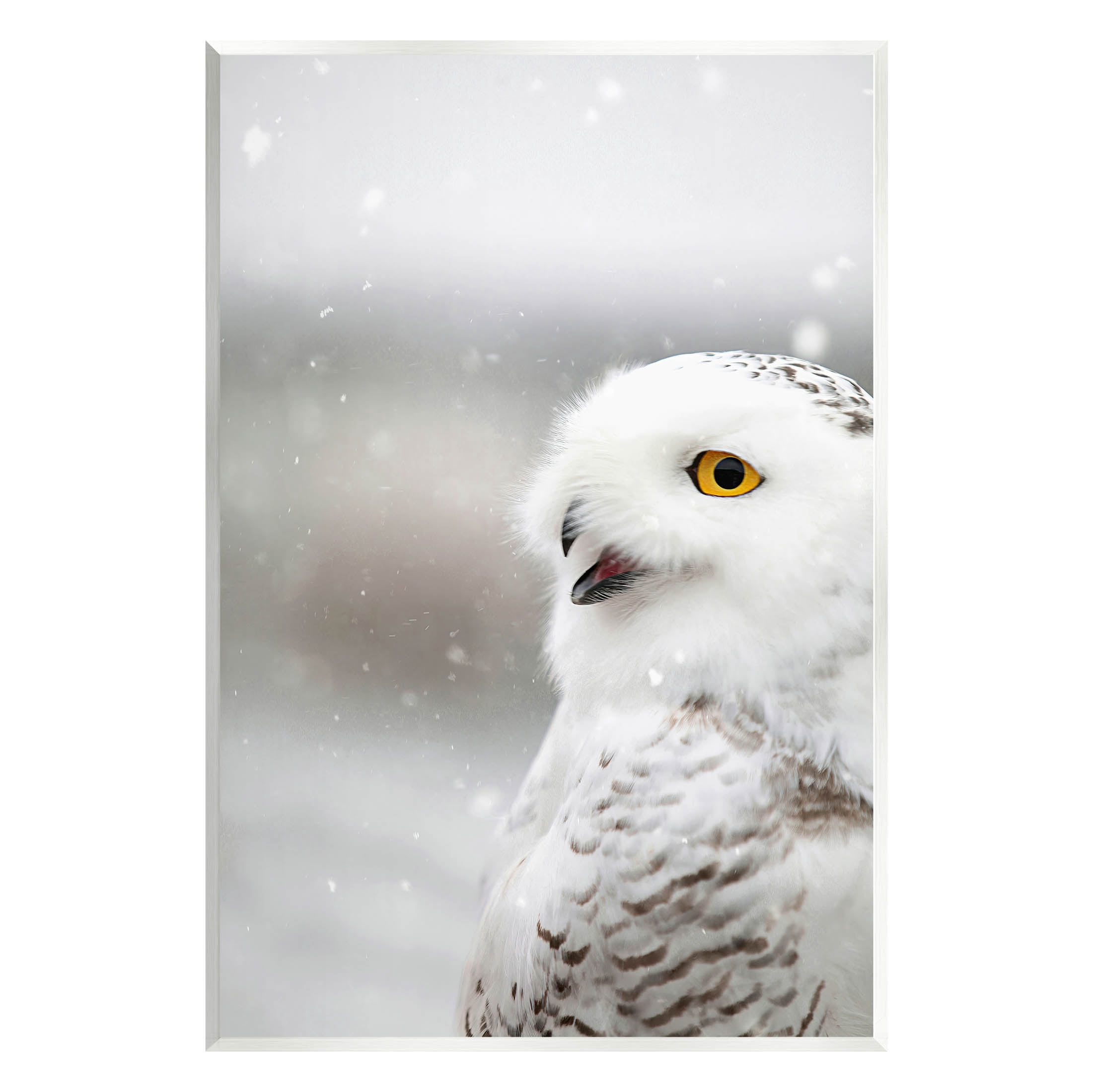 Stupell Industries Snowy Owl Winter Gaze Photograph Unframed Art Print Wall Art, Design by Carrie Ann Grippo-Pike
