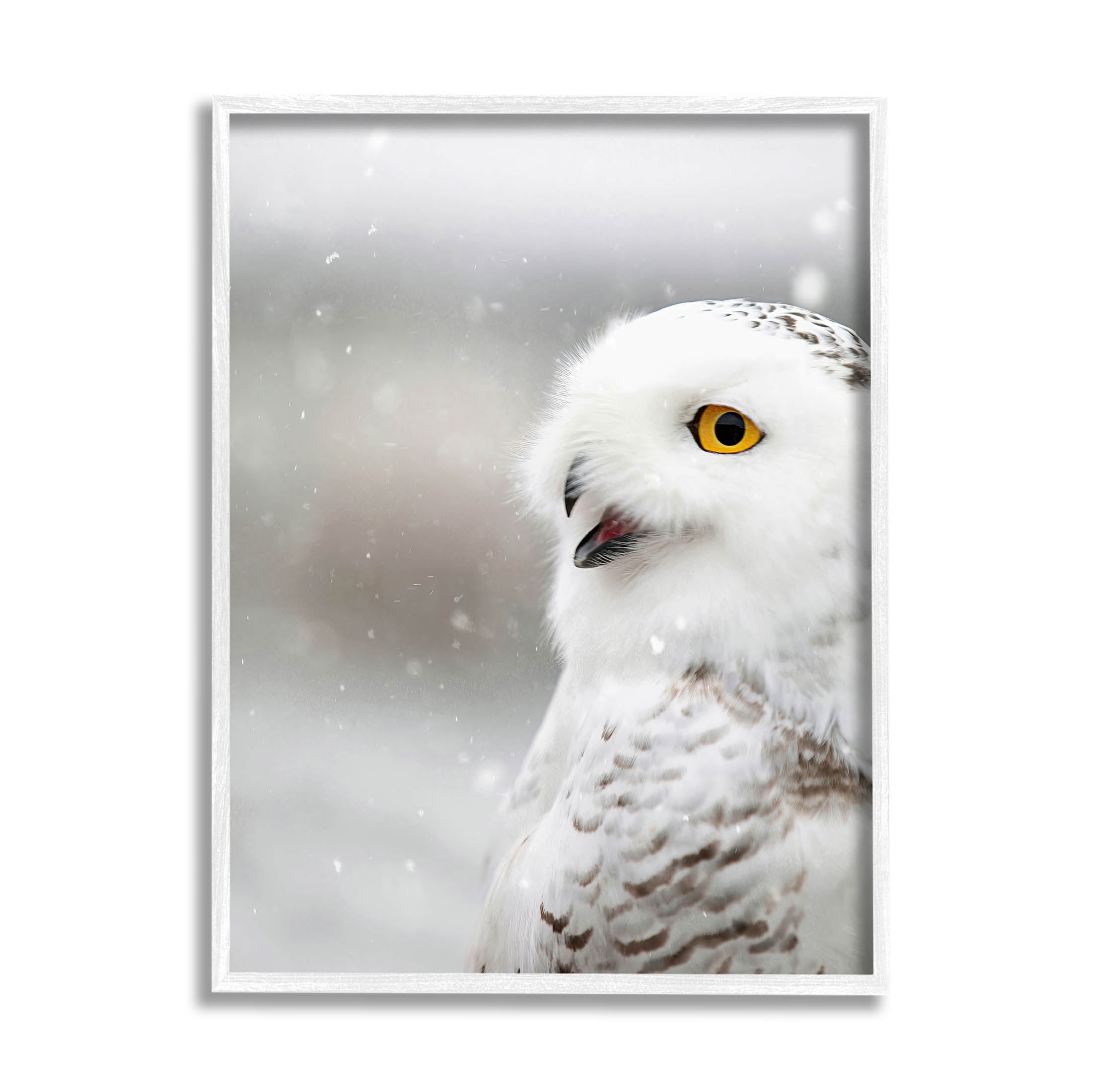 Stupell Industries Snowy Owl Winter Gaze Photograph White Framed Art Print Wall Art, Design by Carrie Ann Grippo-Pike