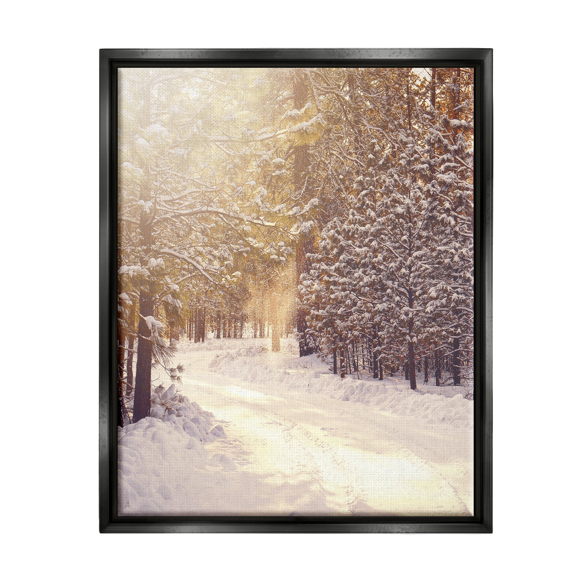 Stupell Industries Snowy Winter Path Nature Photography Black Floater Framed Art Print Wall Art, 17 x 21