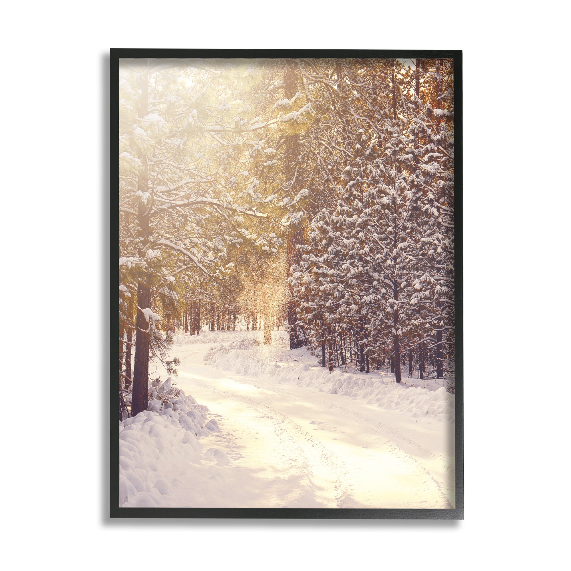 Snowy Winter Path Landscape Black Framed Canvas Print, 11 x 14