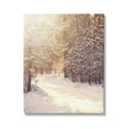 thumbnail image 1 of Stupell Industries Snowy Winter Path Nature Photography Gallery Wrapped Canvas Print Wall Art, 16 x 20, 1 of 7