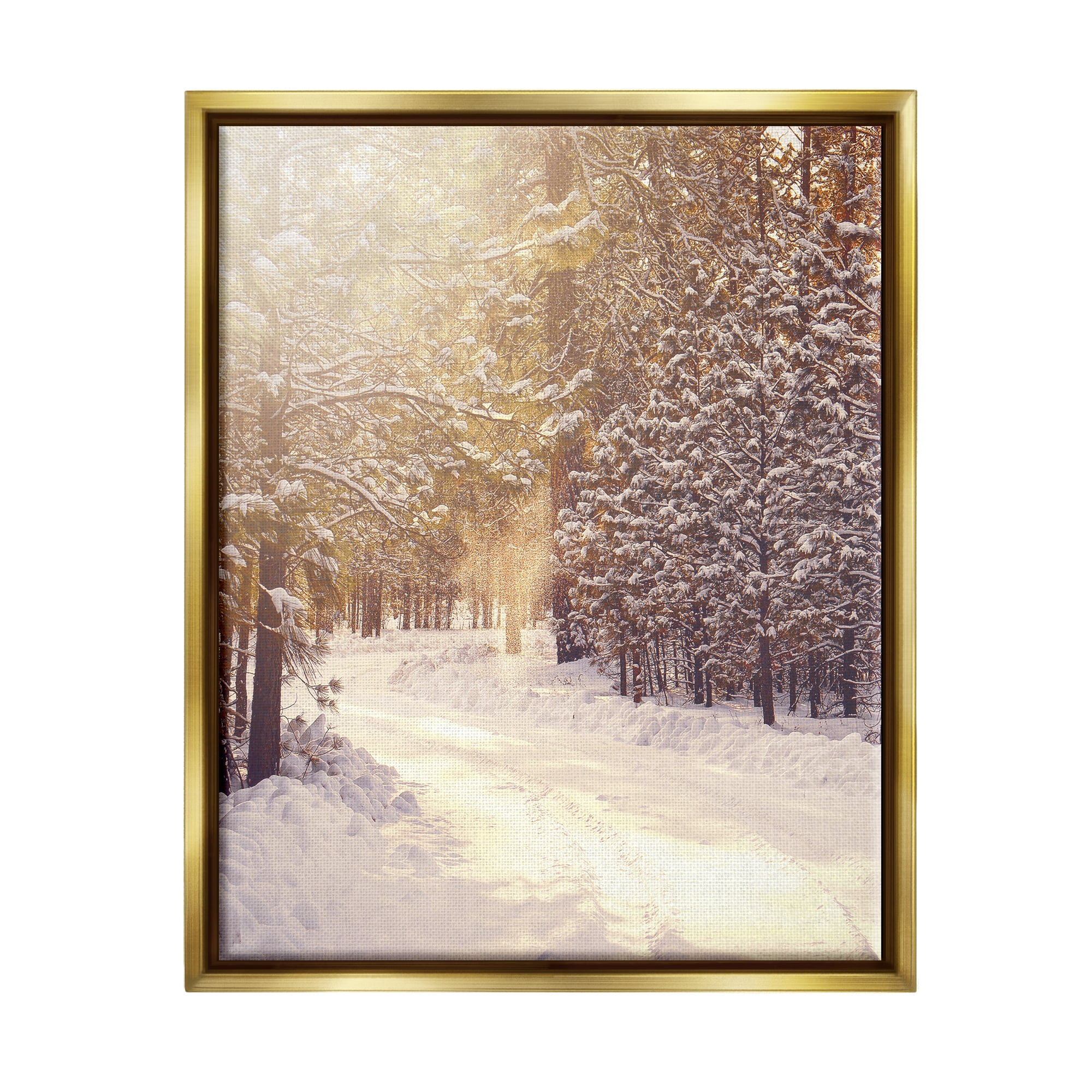 Stupell Industries Snowy Winter Path Nature Photography Gold Floater Framed Art Print Wall Art, 25 x 31
