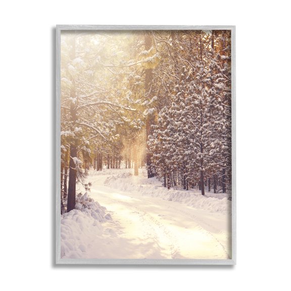 Stupell Industries Snowy Winter Path Nature Photography Gray Framed Art Print Wall Art, 24 x 30