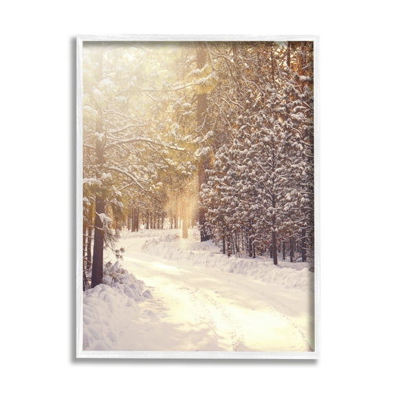 Stupell Industries Snowy Winter Path Nature Photography White Framed Art Print Wall Art, 11 x 14